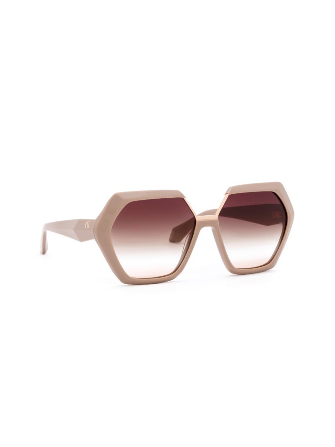 

Ana Hickmann Women Other Sunglasses With UV Protected Lens, Brown