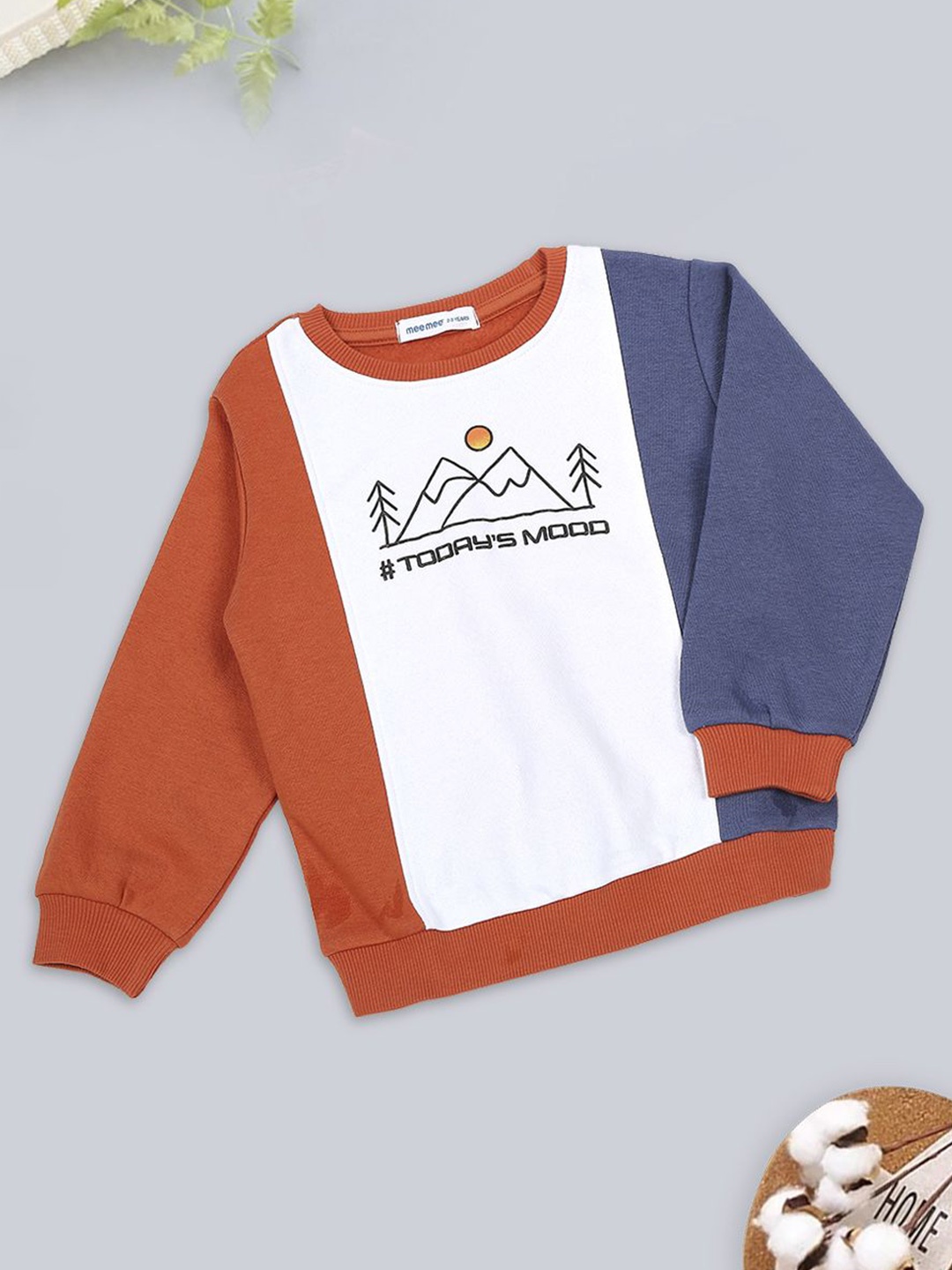 

MeeMee Boys Colourblocked Long Sleeves Sweatshirt, White