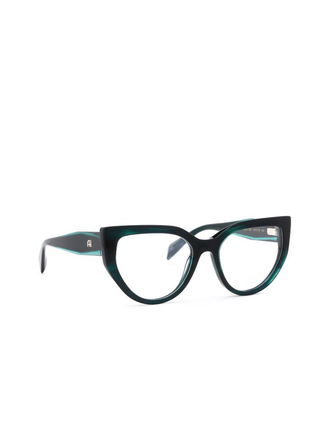 

Ana Hickmann Women Full Rim Cateye Frames, Green