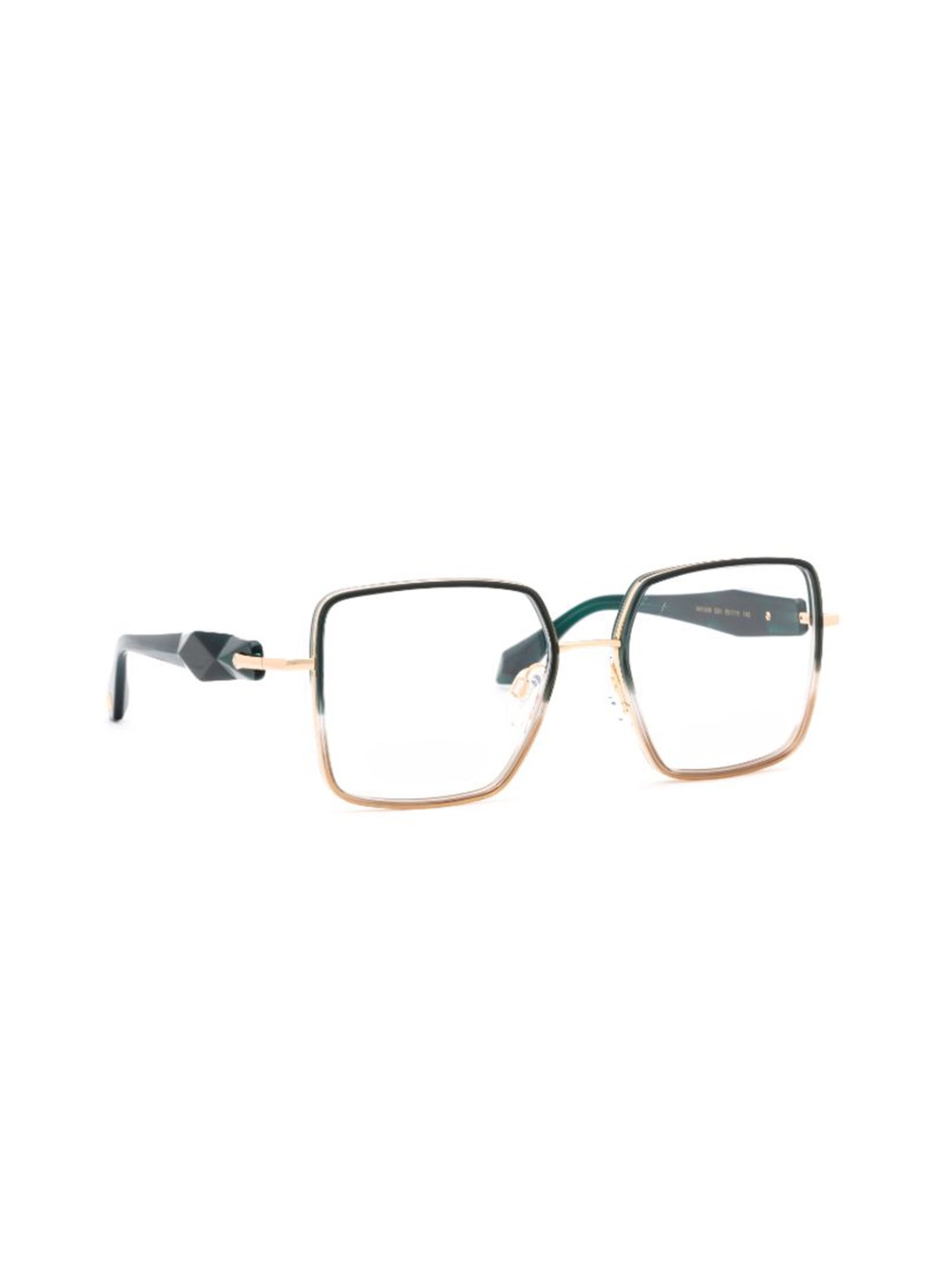 

Ana Hickmann Women Full Rim Square Frames, Green