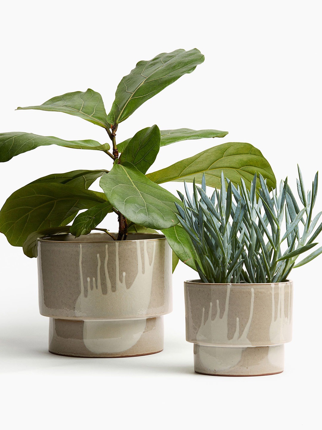 

H&M Beige & White Extra-Large Terracotta Plant Pot