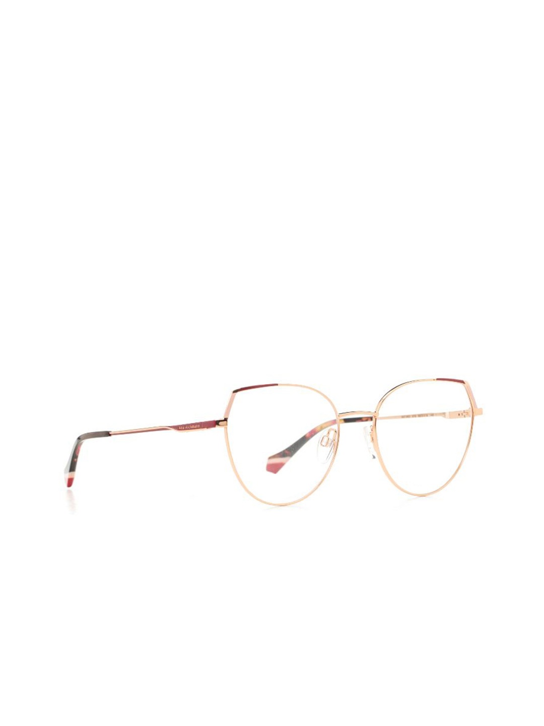 

Ana Hickmann Women Full Rim Oversized Frames, Gold
