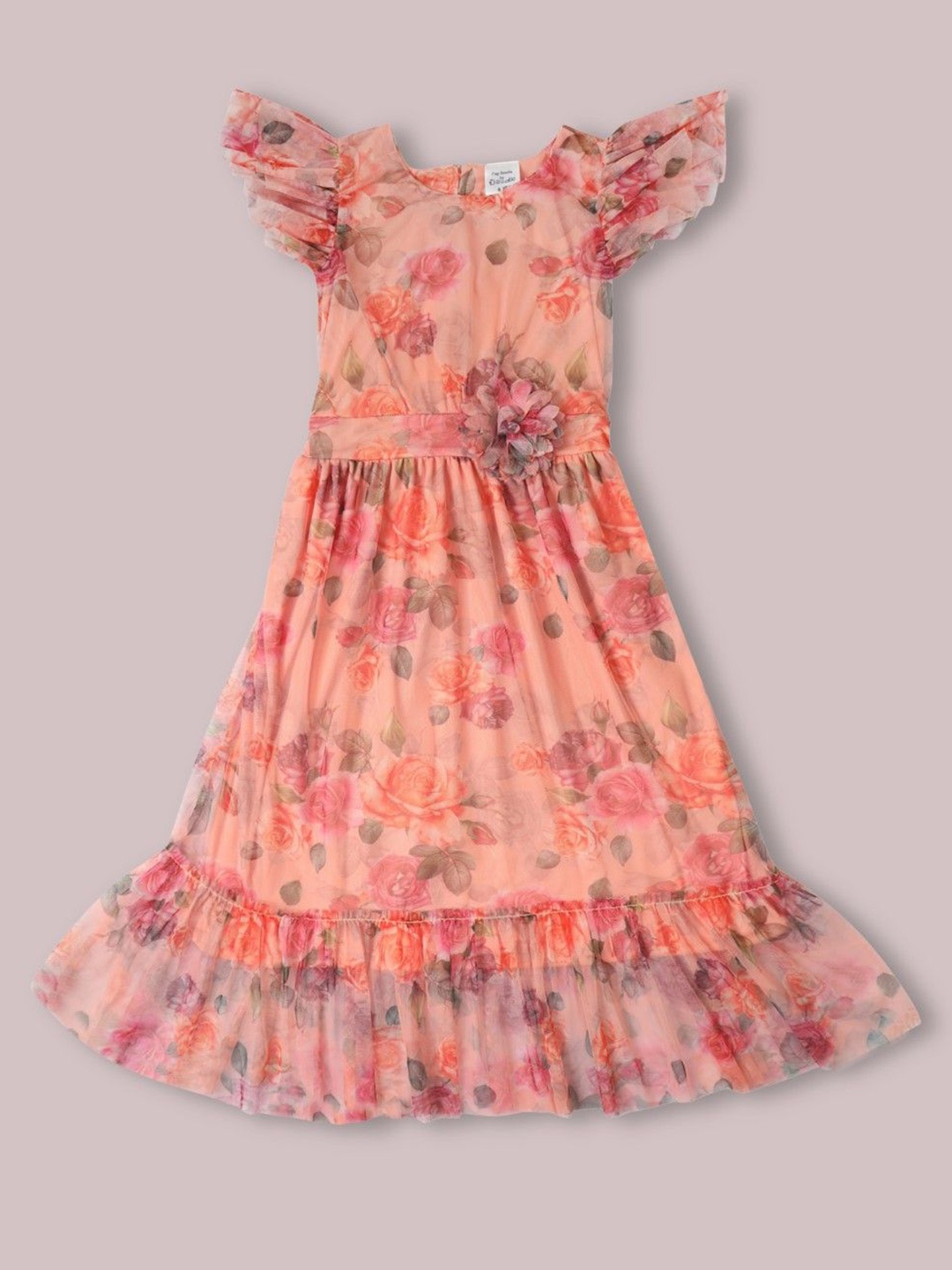 

Doodle Girls Floral Printed Flutter Sleeve Net Fit & Flare Dress, Coral
