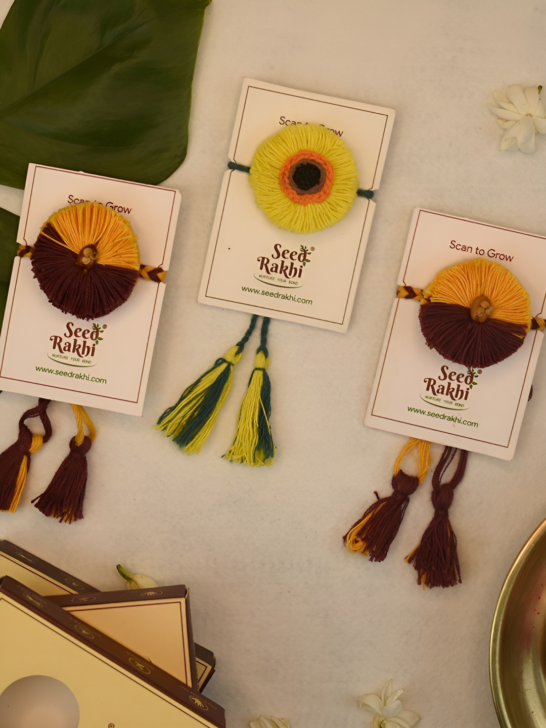 

Indigifts Set Of 3 Plantable Rakhi For Brother, Brown