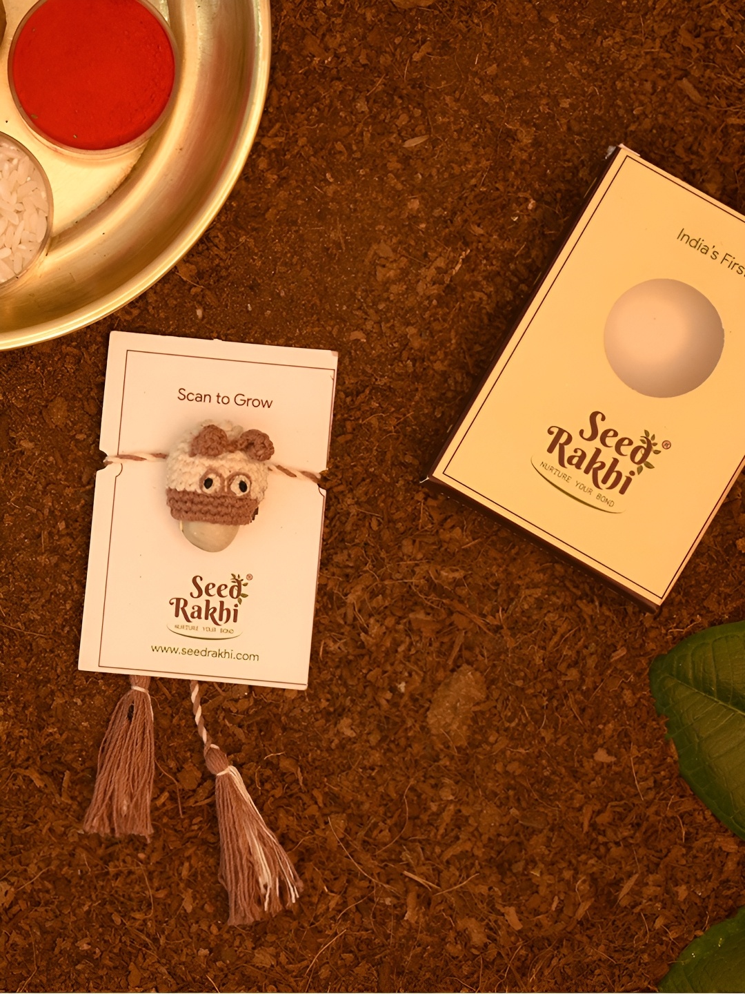 

Indigifts 2-Pcs Rakhi with Seed, White