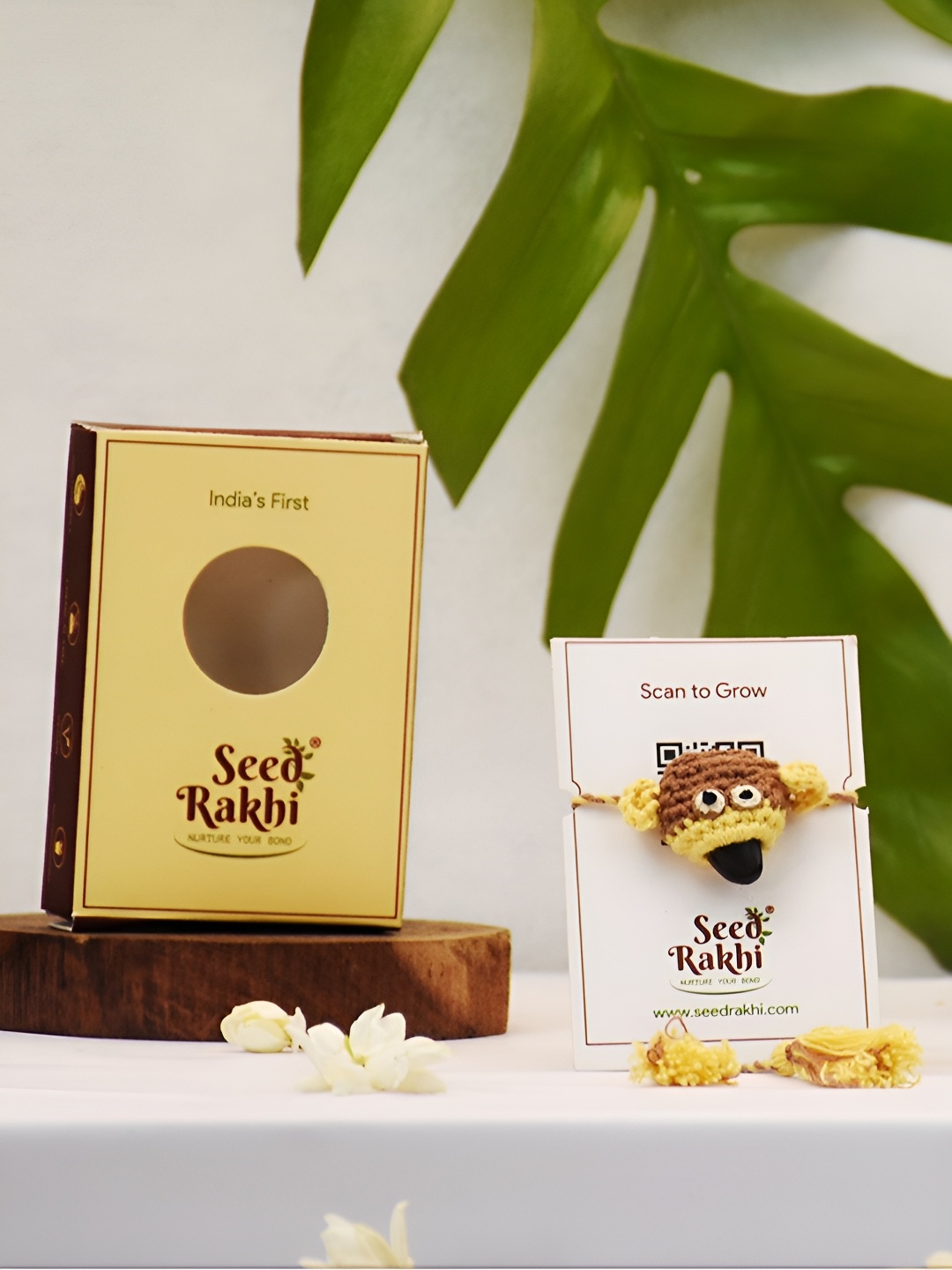 

Indigifts Cotton Seed Rakhi, Brown