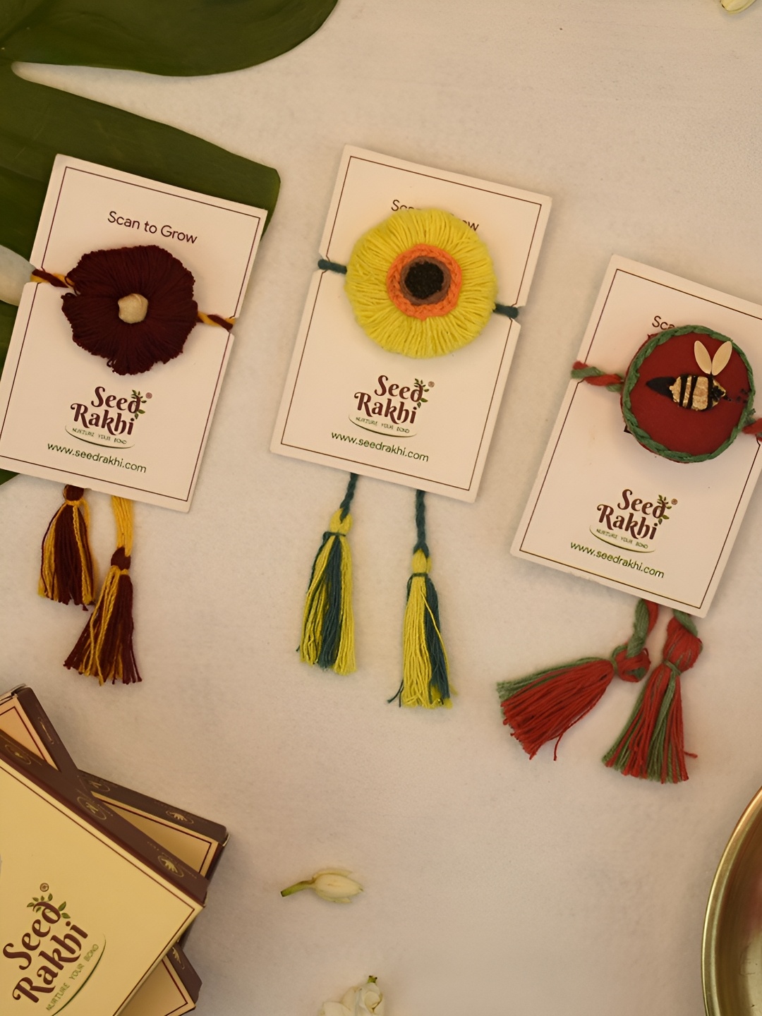 

Indigifts Set Of 3 Plantable Rakhi With Seed, Purple