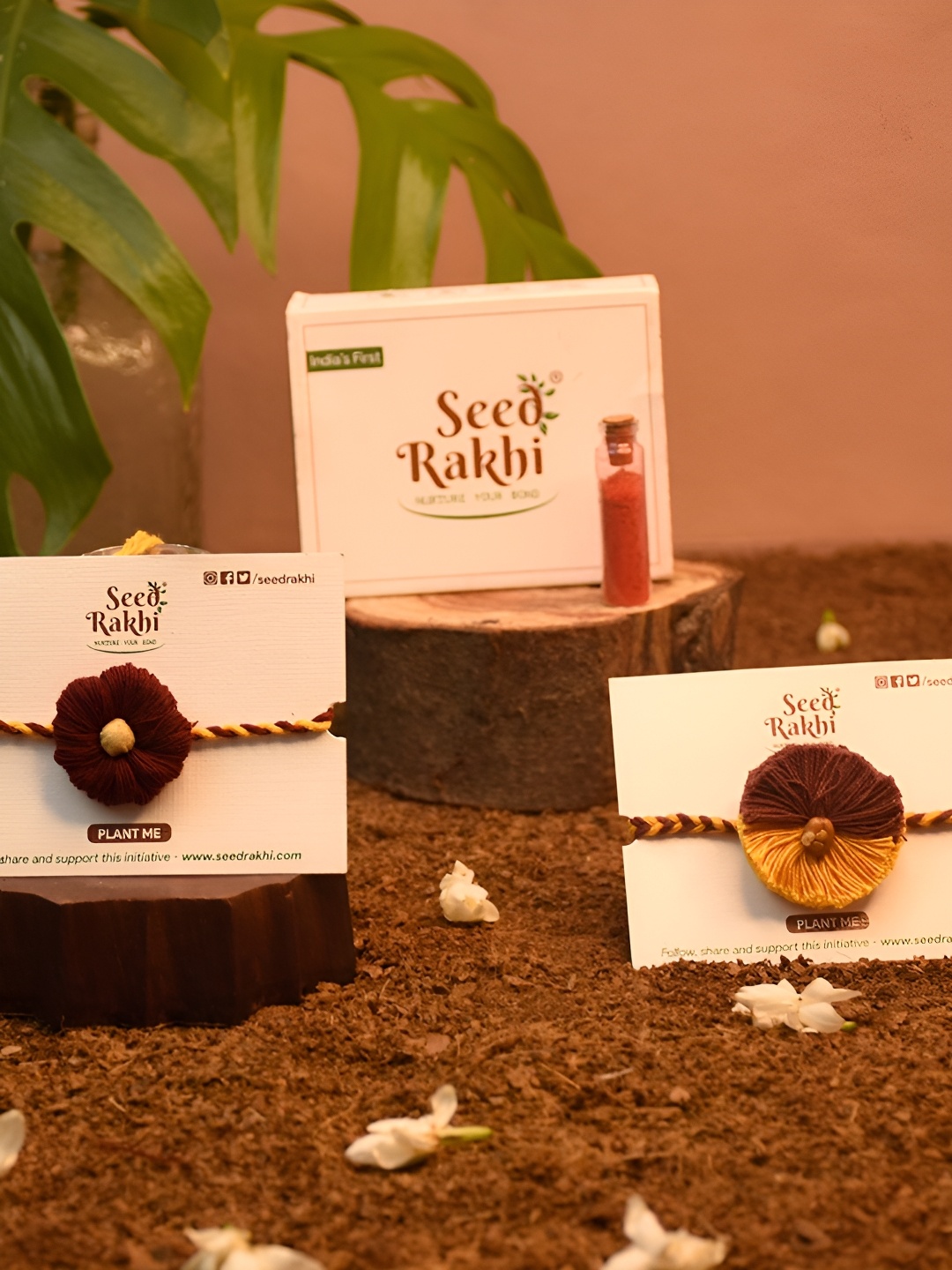 

Indigifts Set Of 2 Seed Rakhi With Instruction Manual With Roli, Brown