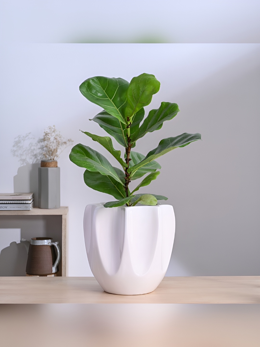 

UGAOO Tranquil Tales White Textured Tranquil Tales Ceramic Planter