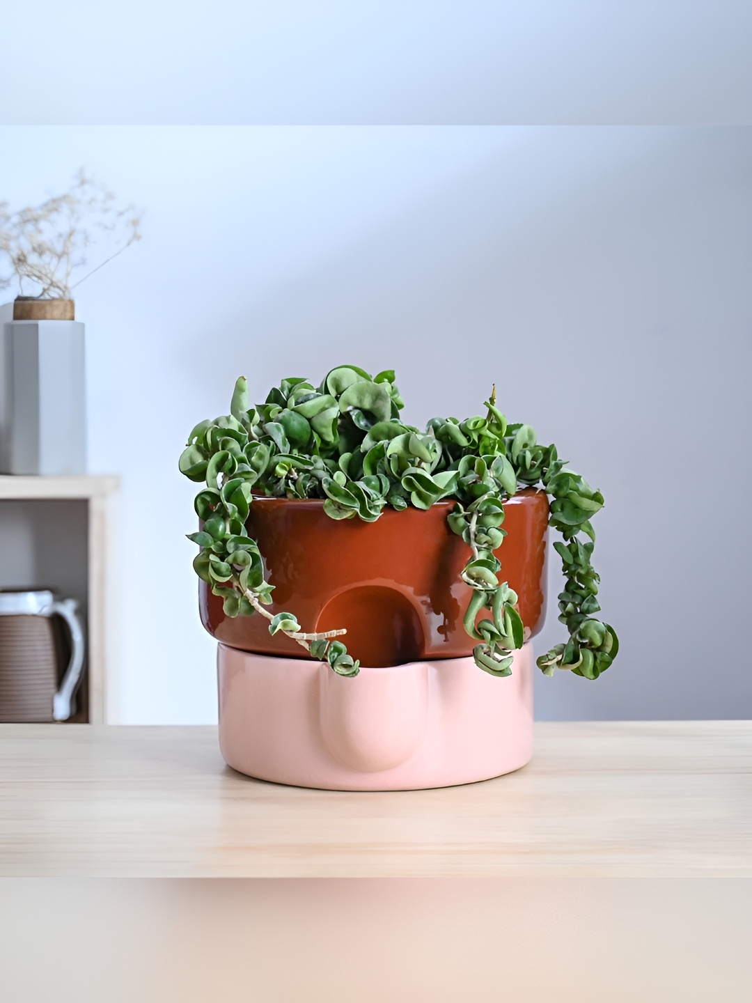

UGAOO Brown & Pink Textured Terracota Ceramic Planter