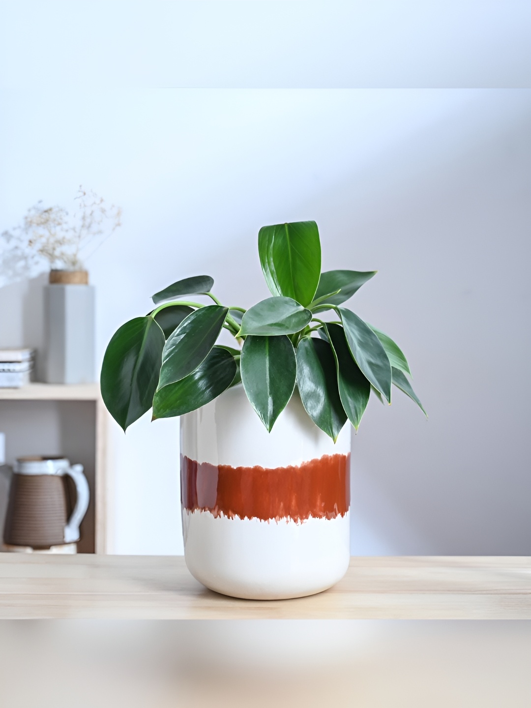 

UGAOO Twilight Clouds White & Brown Printed Terracota Ceramic Planter