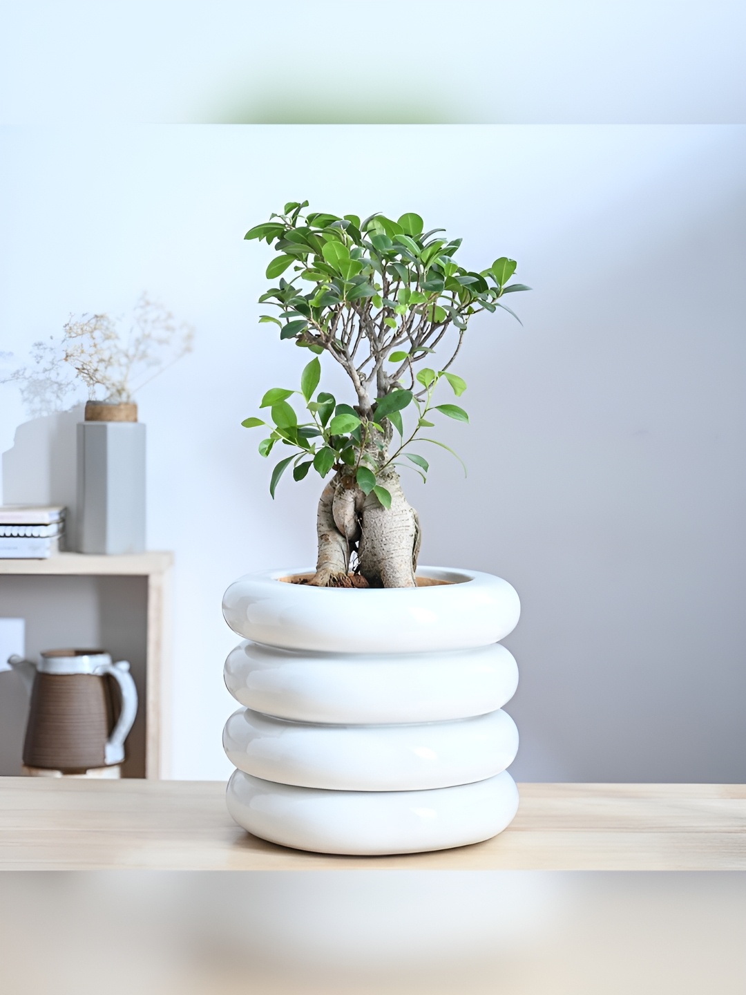 

UGAOO White Textured 3 Layer Ceramic Planter
