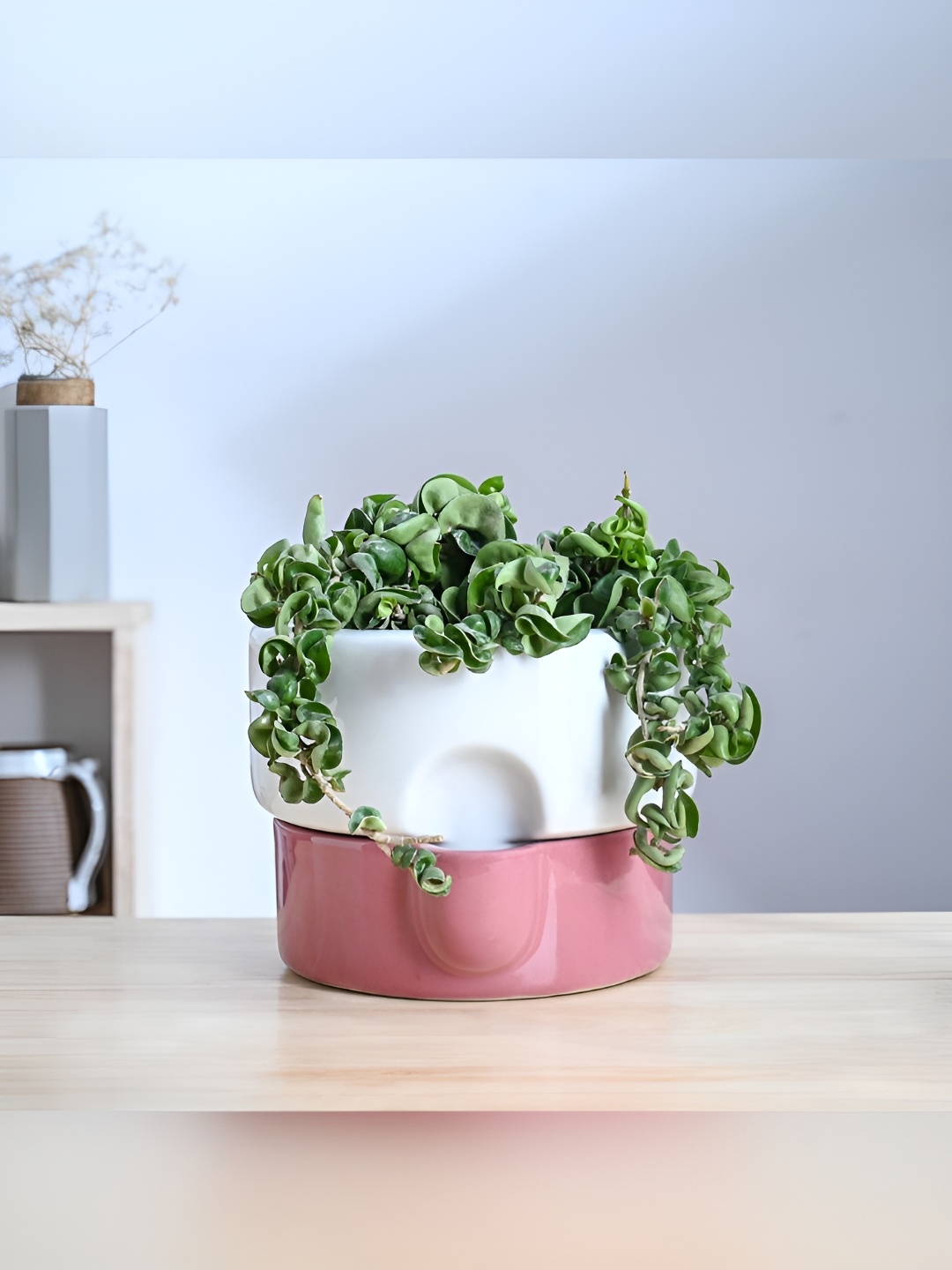 

UGAOO Flower Sunflower Magenta & White Textured Ceramic Planter