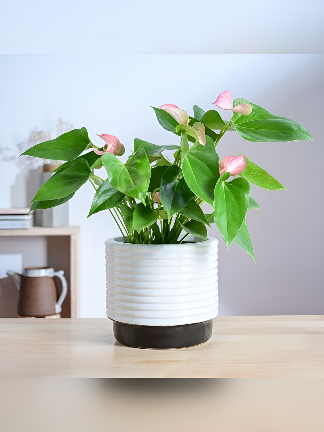 

UGAOO Untold Stories Textured White & Black Ceramic Planter