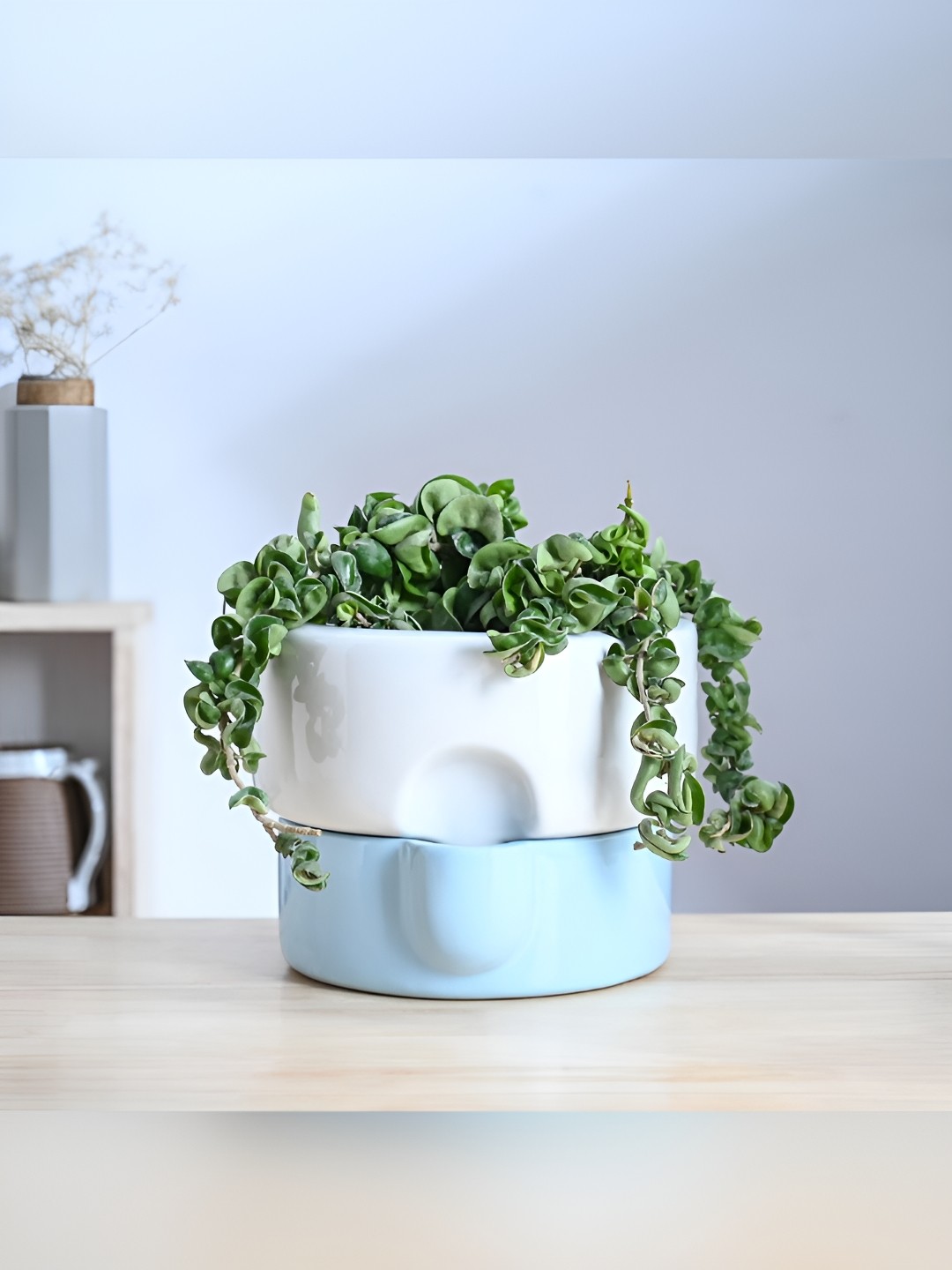 

UGAOO Flower Sunflower Blue & White Textured Ceramic Planter