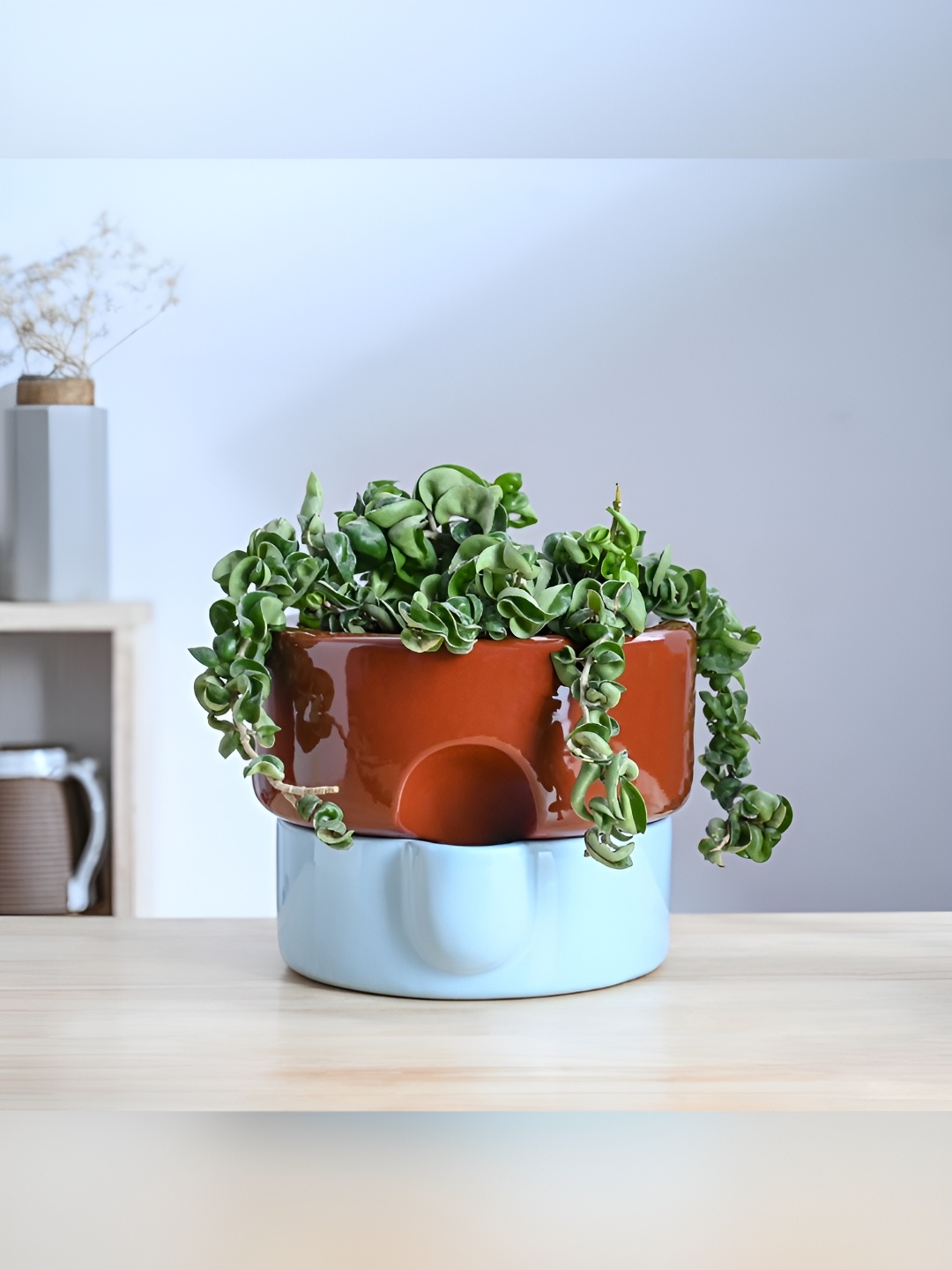 

UGAOO Blue & Brown Textured Terracota Ceramic Planter
