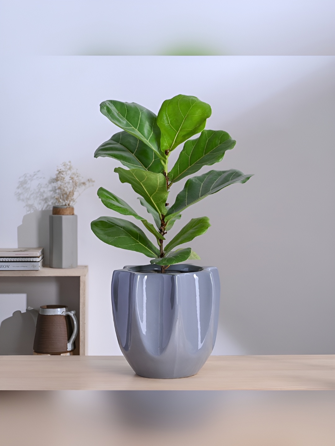 

UGAOO Tranquil Tales Grey Textured Ceramic Planter