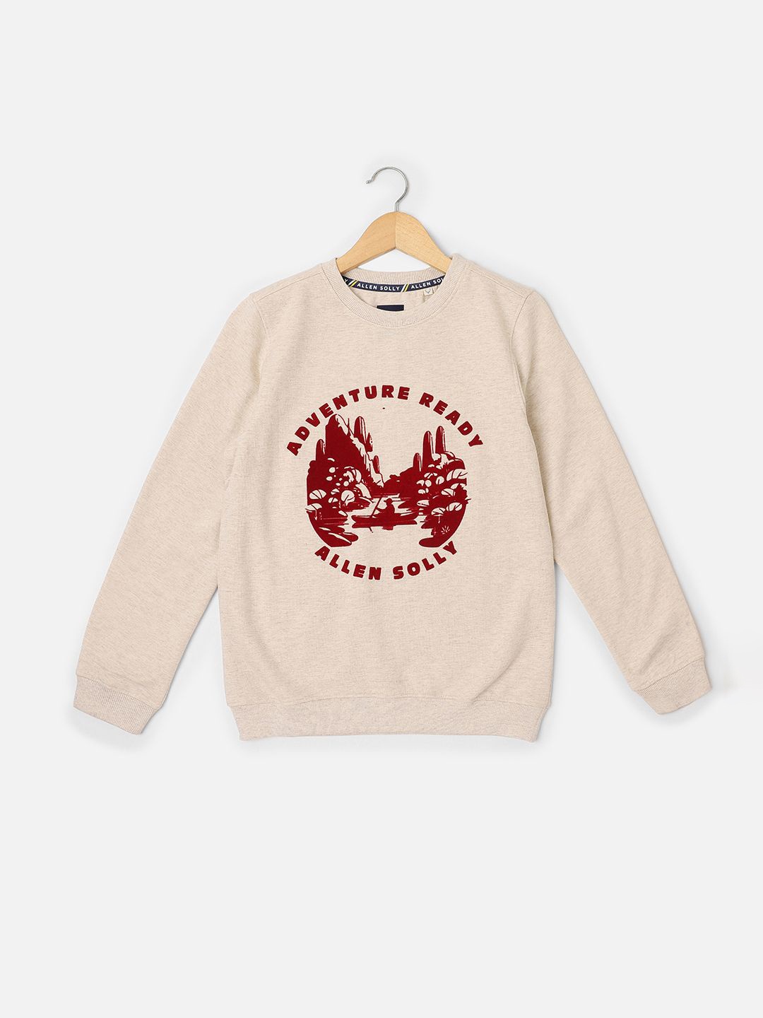 

Allen Solly Junior Boys Graphic Printed Pullover Sweatshirt, Beige