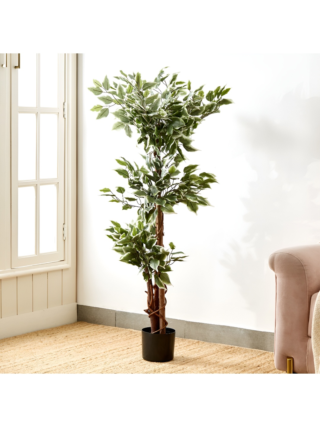 

Home Centre Green & Black Artificial Ficus Tree in Pot