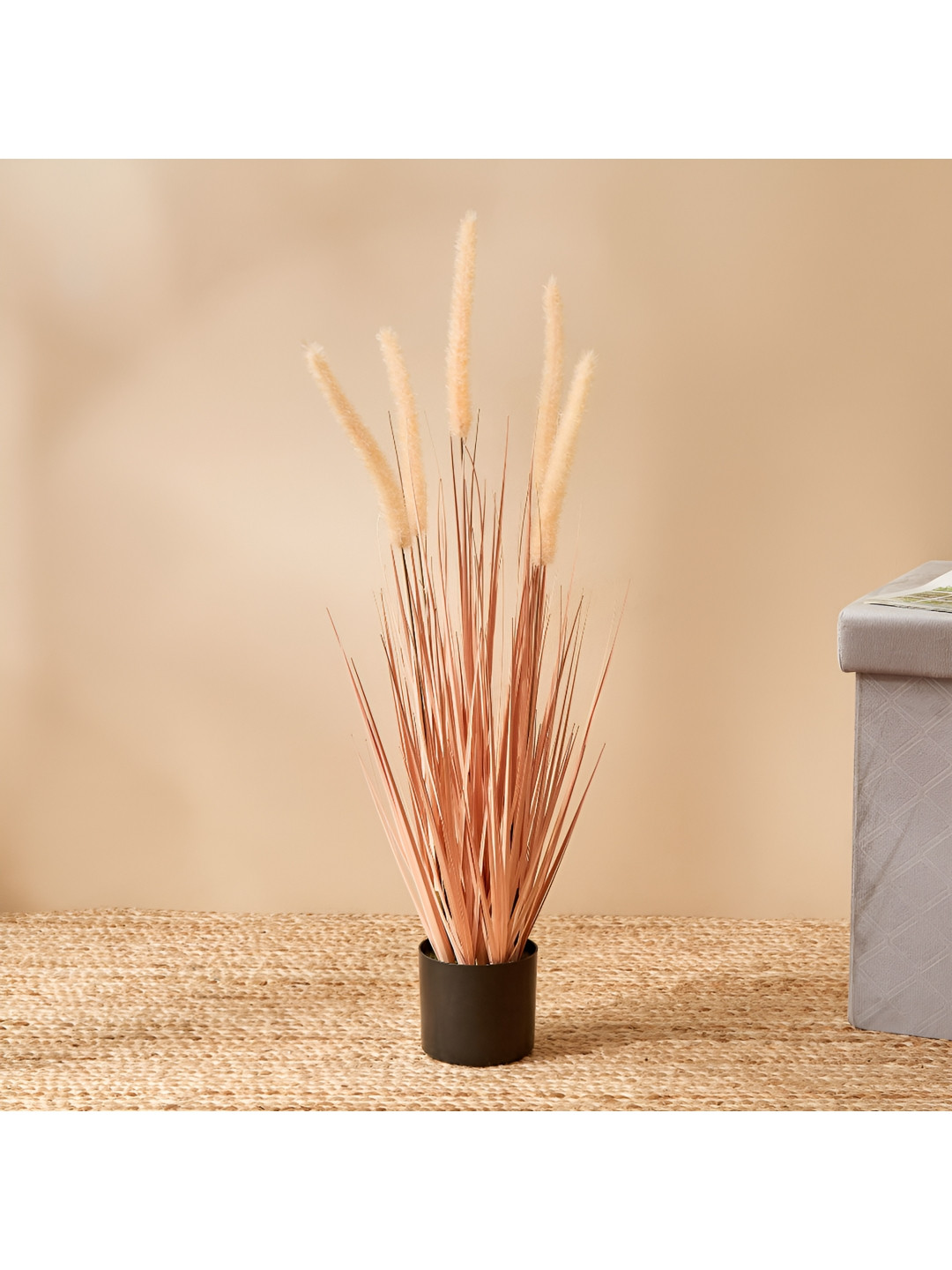 

Home Centre Peach-Coloured Artificial Dogtail Plant in Pot