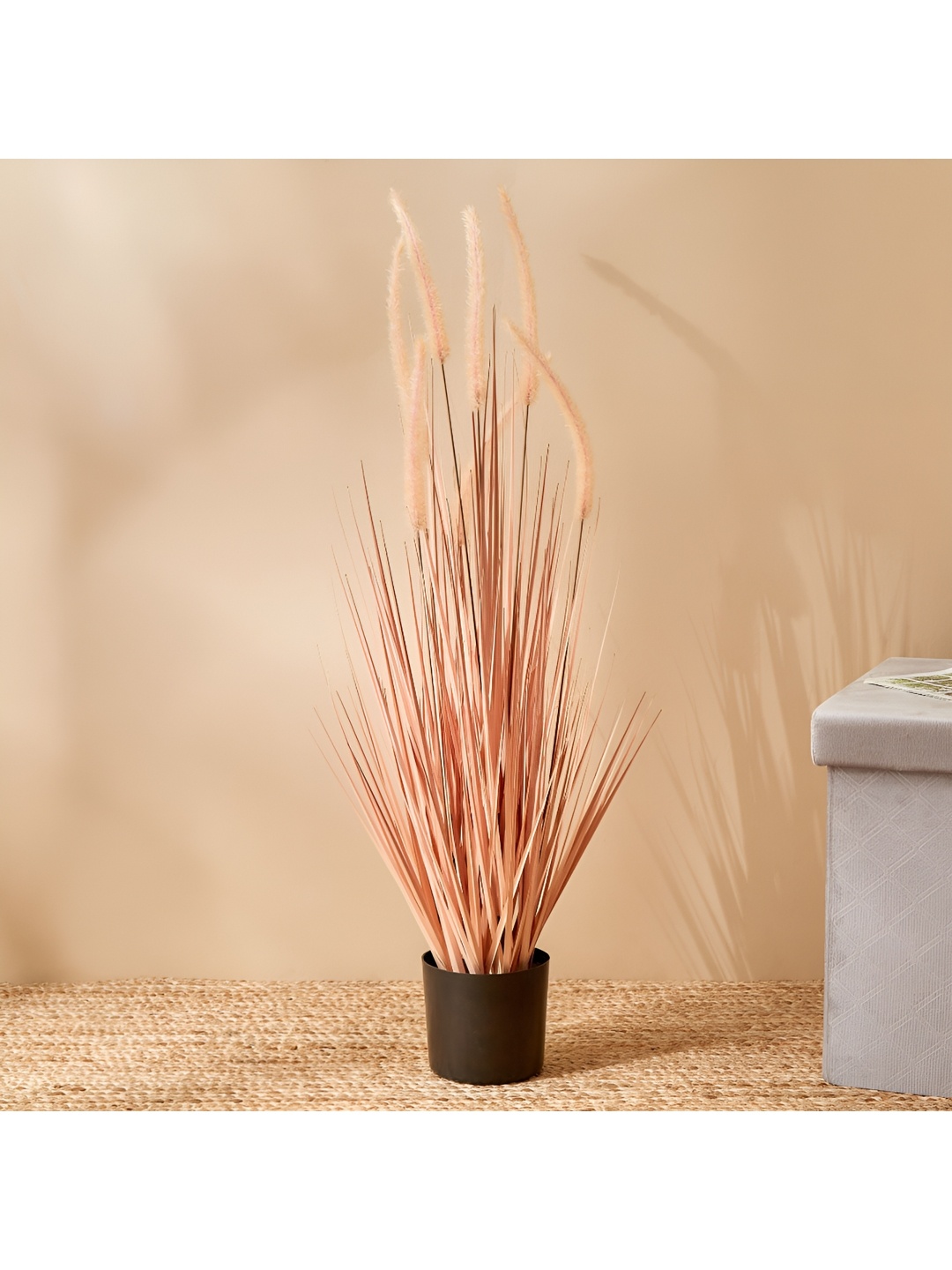 

Home Centre Peach-Coloured & Black Artificial Dogtail Plant in Pot