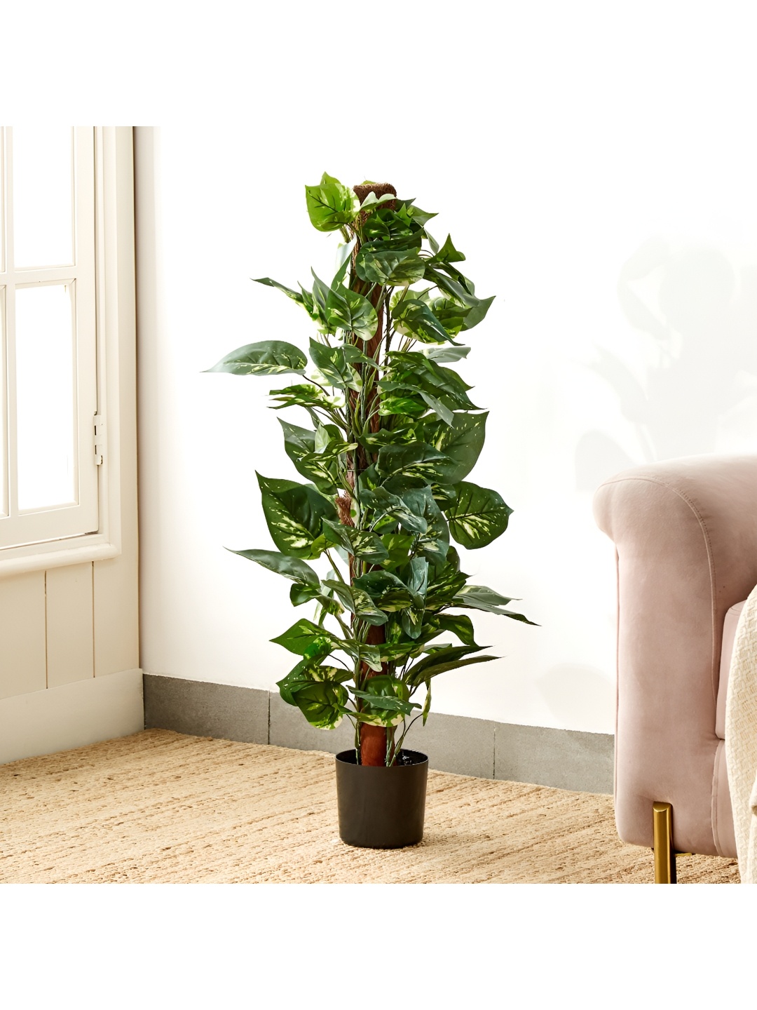 

Home Centre Green & Black Artificial Ficus Tree in Pot