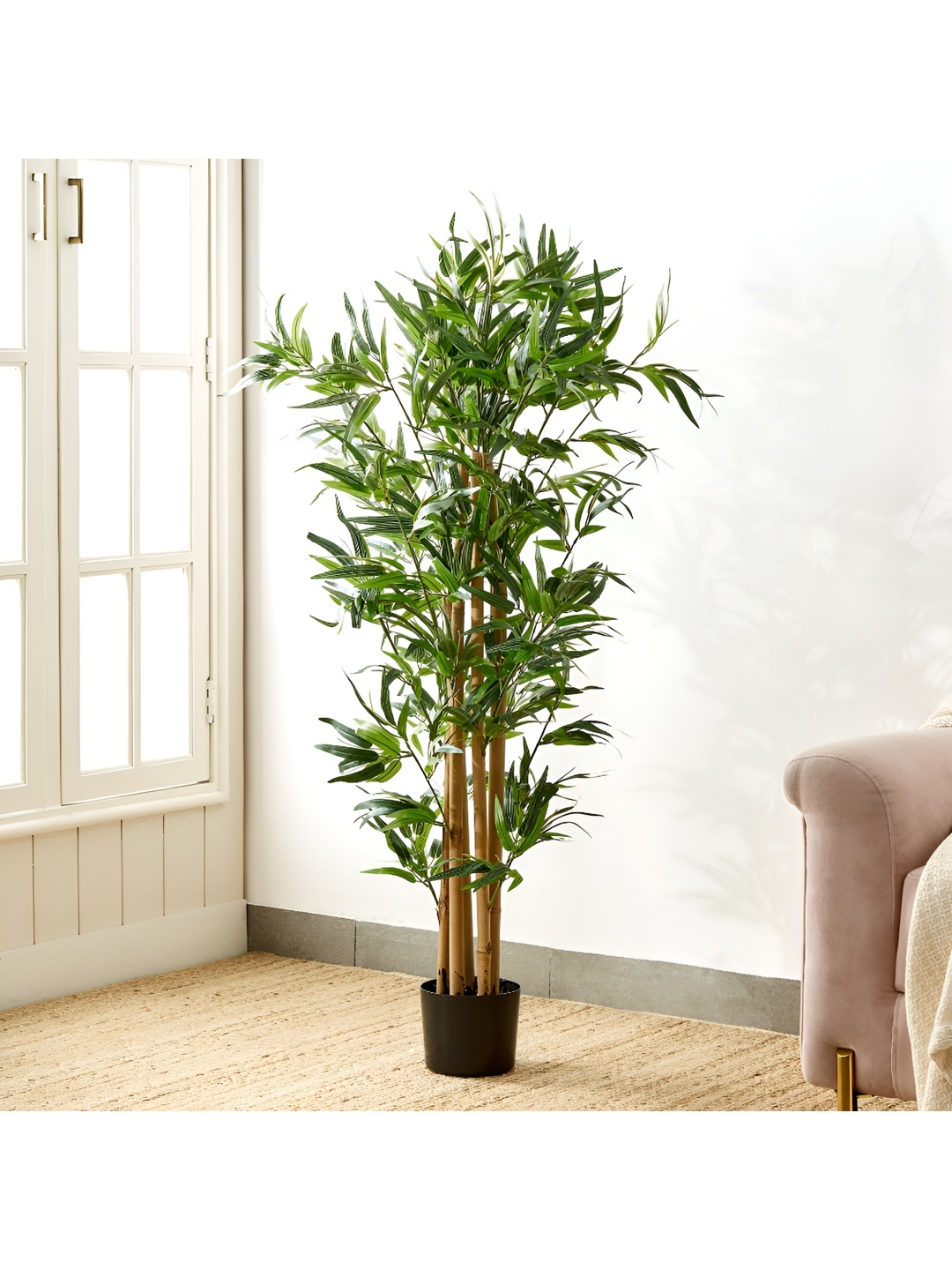 

Home Centre Green & Black Artificial Bamboo Tree in Pot