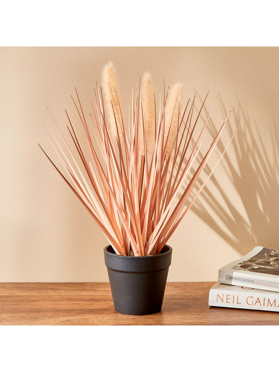 

Home Centre Peach-Coloured & Black Artificial Dogtail Plant in Pot