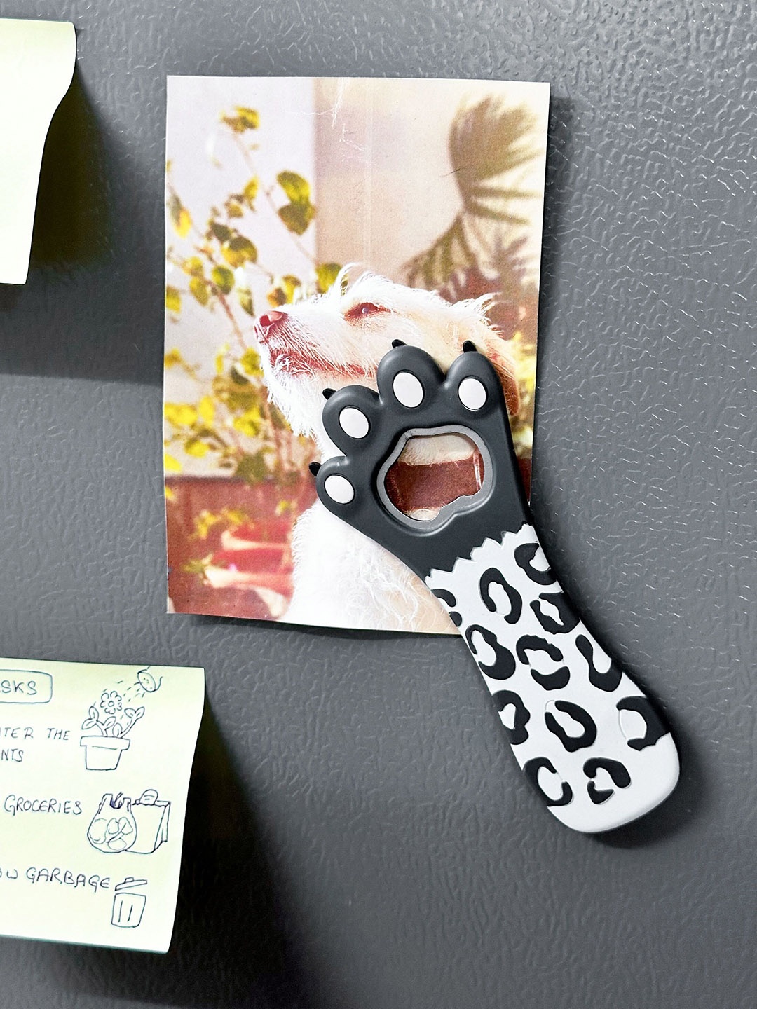 

COMICSENSE Grey & White Printed Cat Paw Shape Bottle Opener