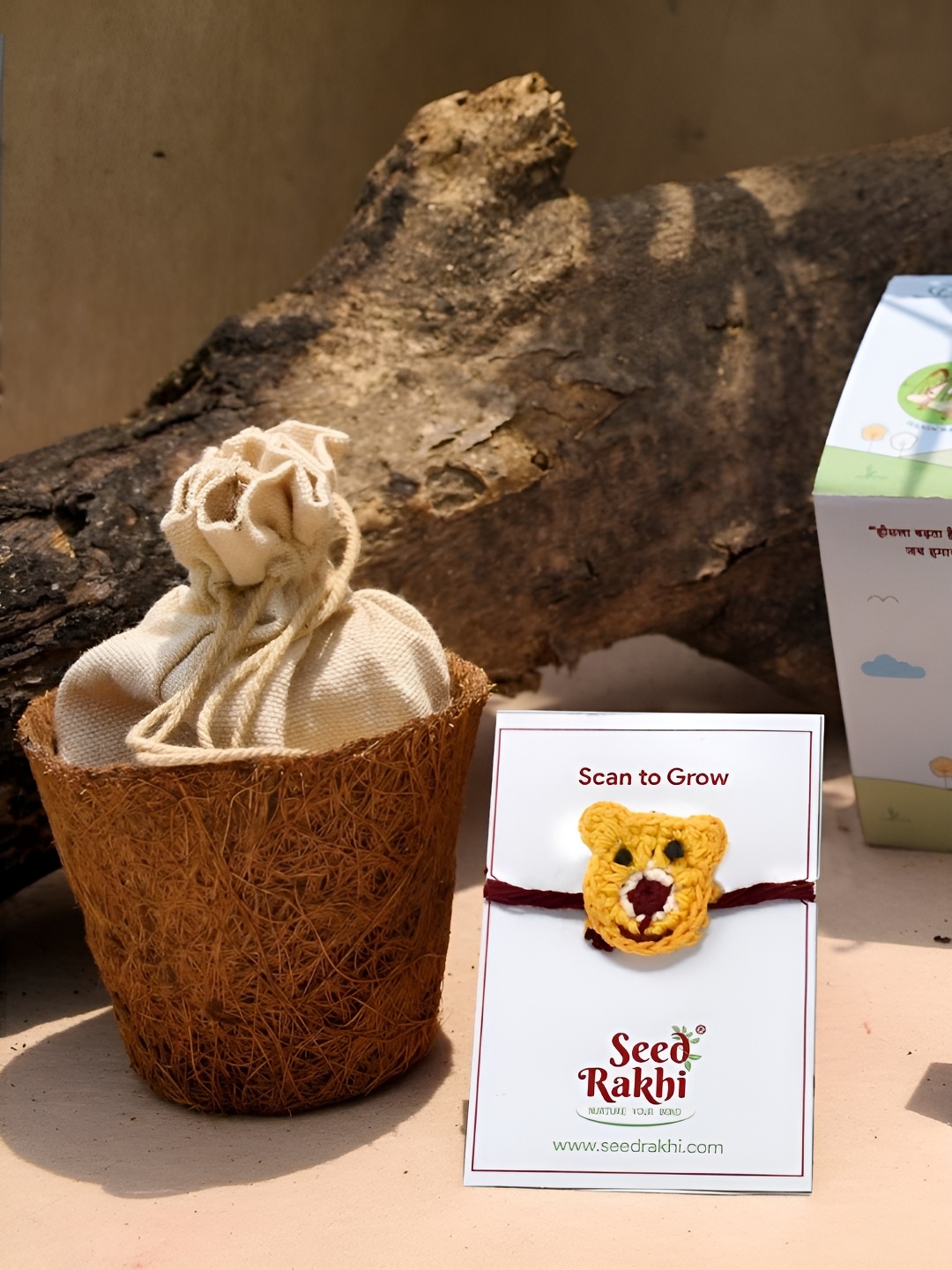 

Indigifts Seed Plantable Rakhi With Planter, Yellow