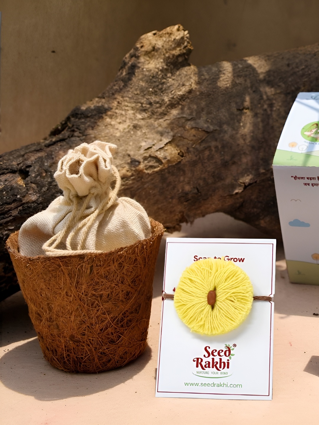 

Indigifts Seed Rakhi With Planter & Roli, Yellow
