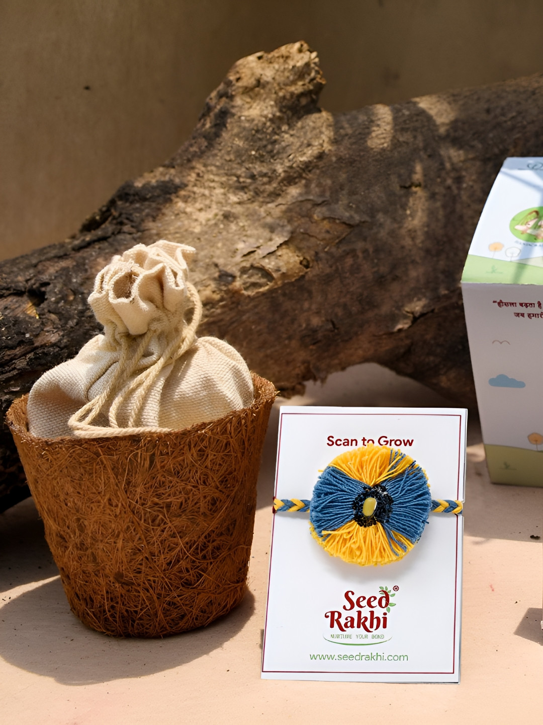 

Indigifts Seed Rakhi With Roli Chawlal & Planter, Blue