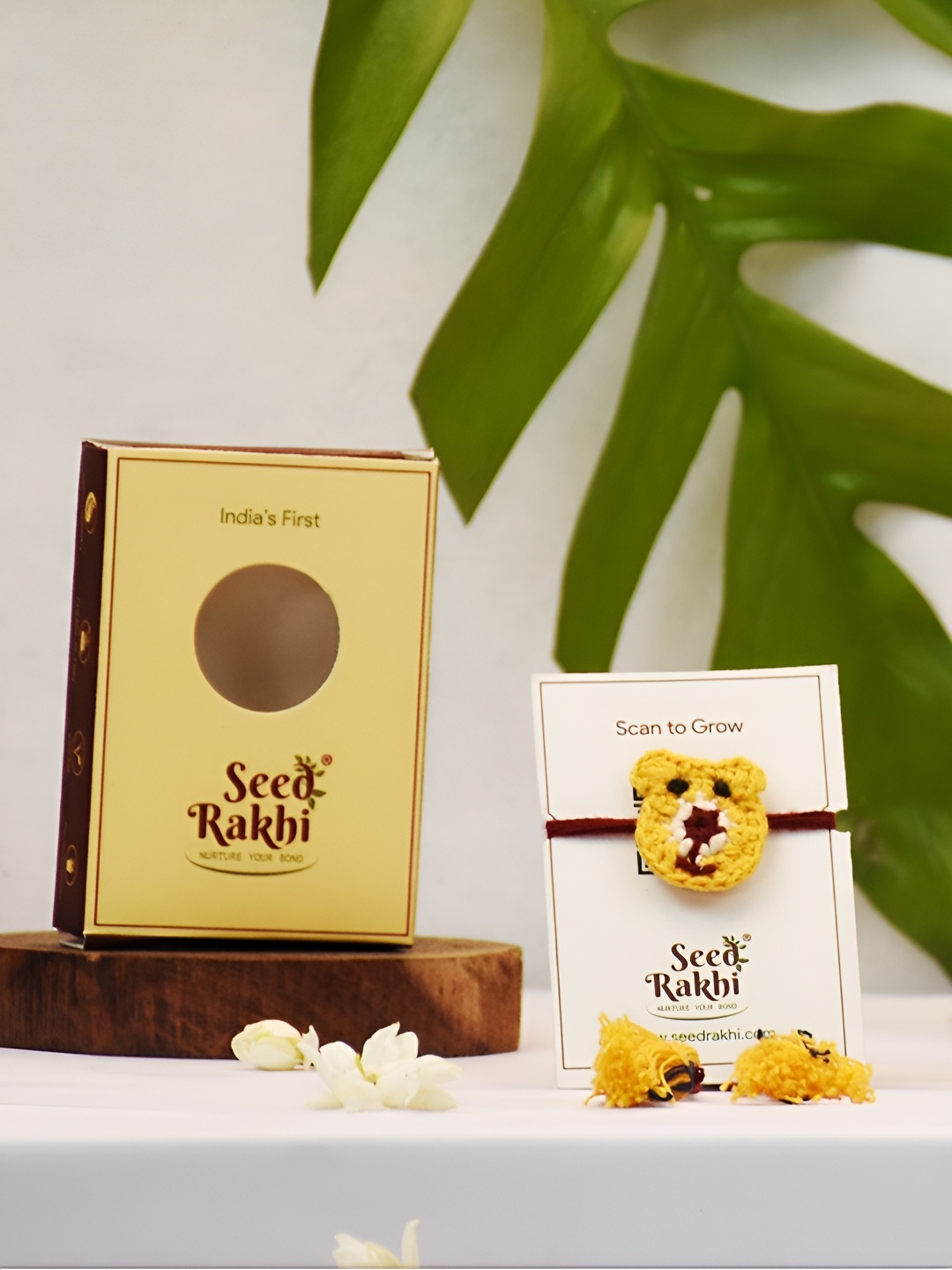 

Indigifts Seed Teddy Charm Rakhi Gift Set, Yellow