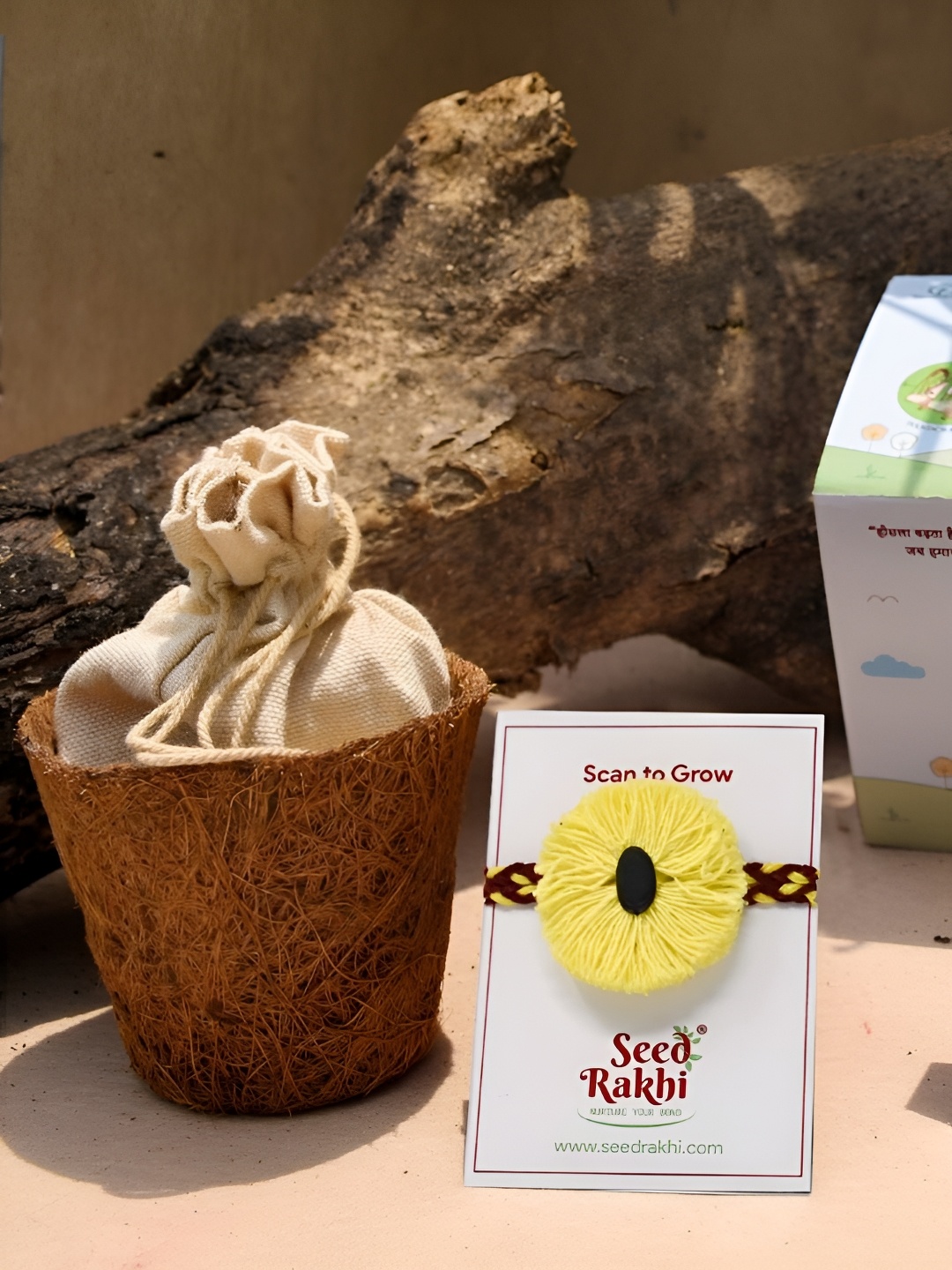 

Indigifts Set Of 3 Seed Rakhi With Planter & Roli Rakhi Gift Set, Yellow