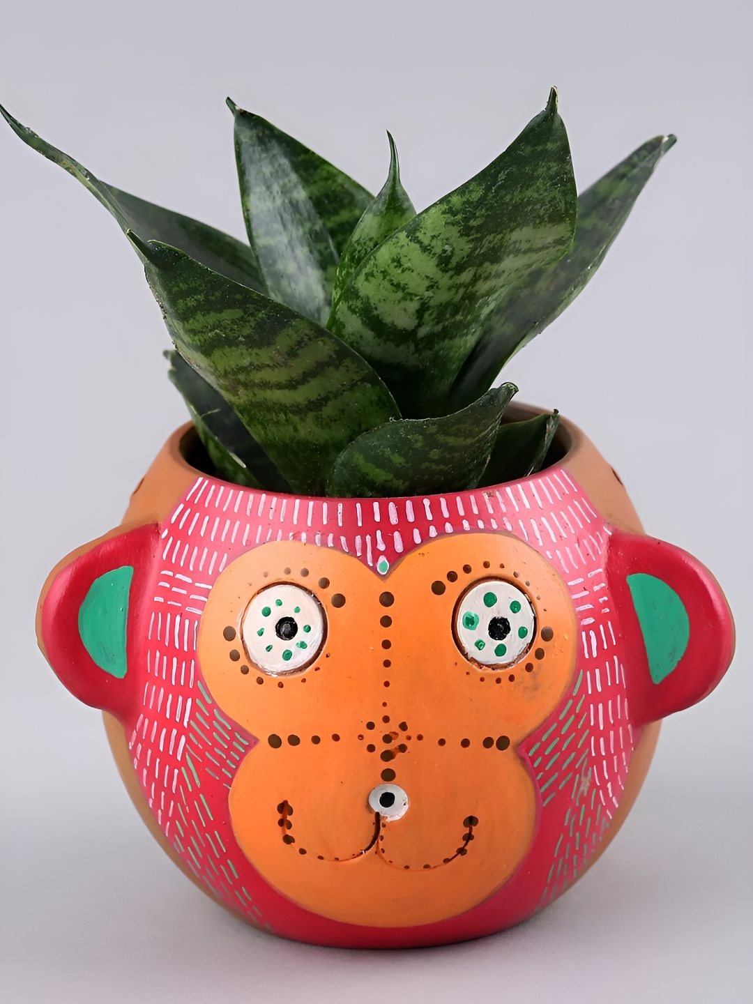 

fnp Green & Orange Indoor Sansevieria Snack Live Plant with Pot- 5 Inch
