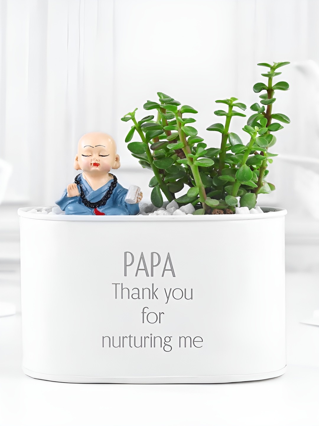 

fnp Green & White Shrubs Live Plant With Pot 5.9 Inch