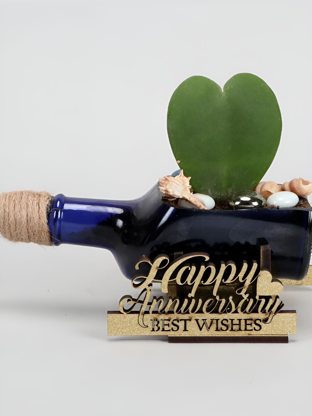 

fnp Indoor Green Hoya Plant In Happy Anniversary Antiquity Bottle Planter