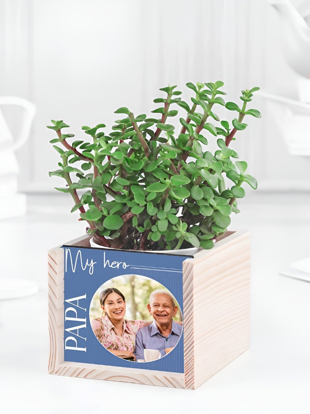 

fnp Green Indoor Jade Plant With Pot 5 inches