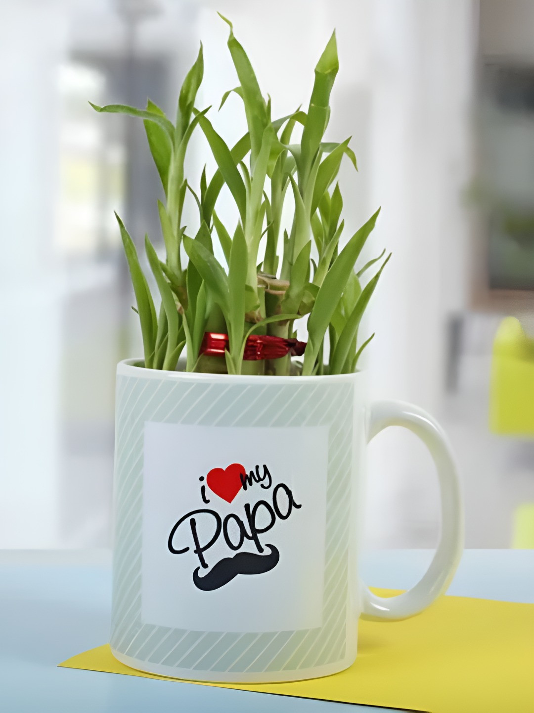 

fnp Green Bamboo Plant With Ceramic Mug -4 Inches