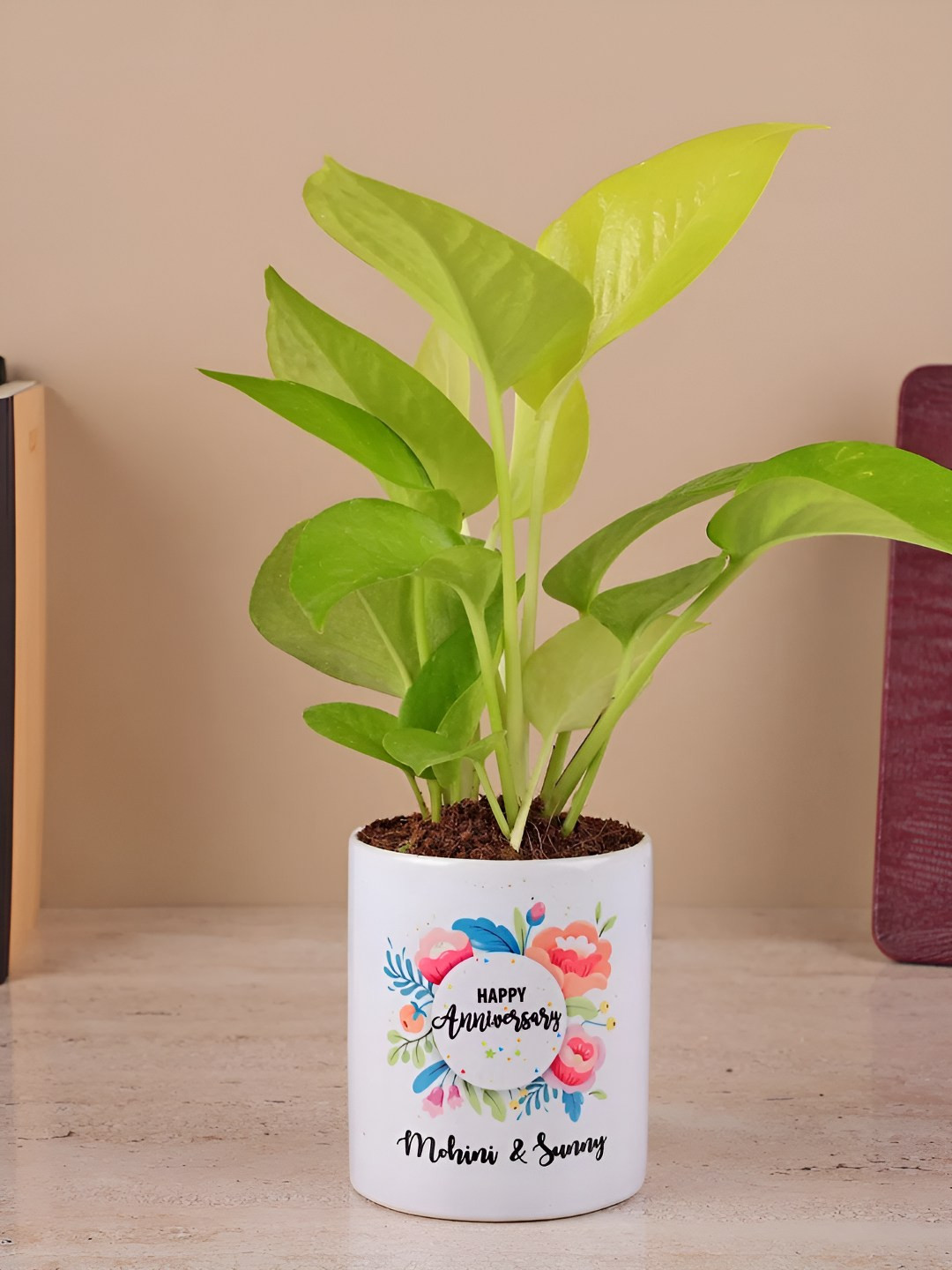 

fnp Green & White Indoor Money Plant with Pot
