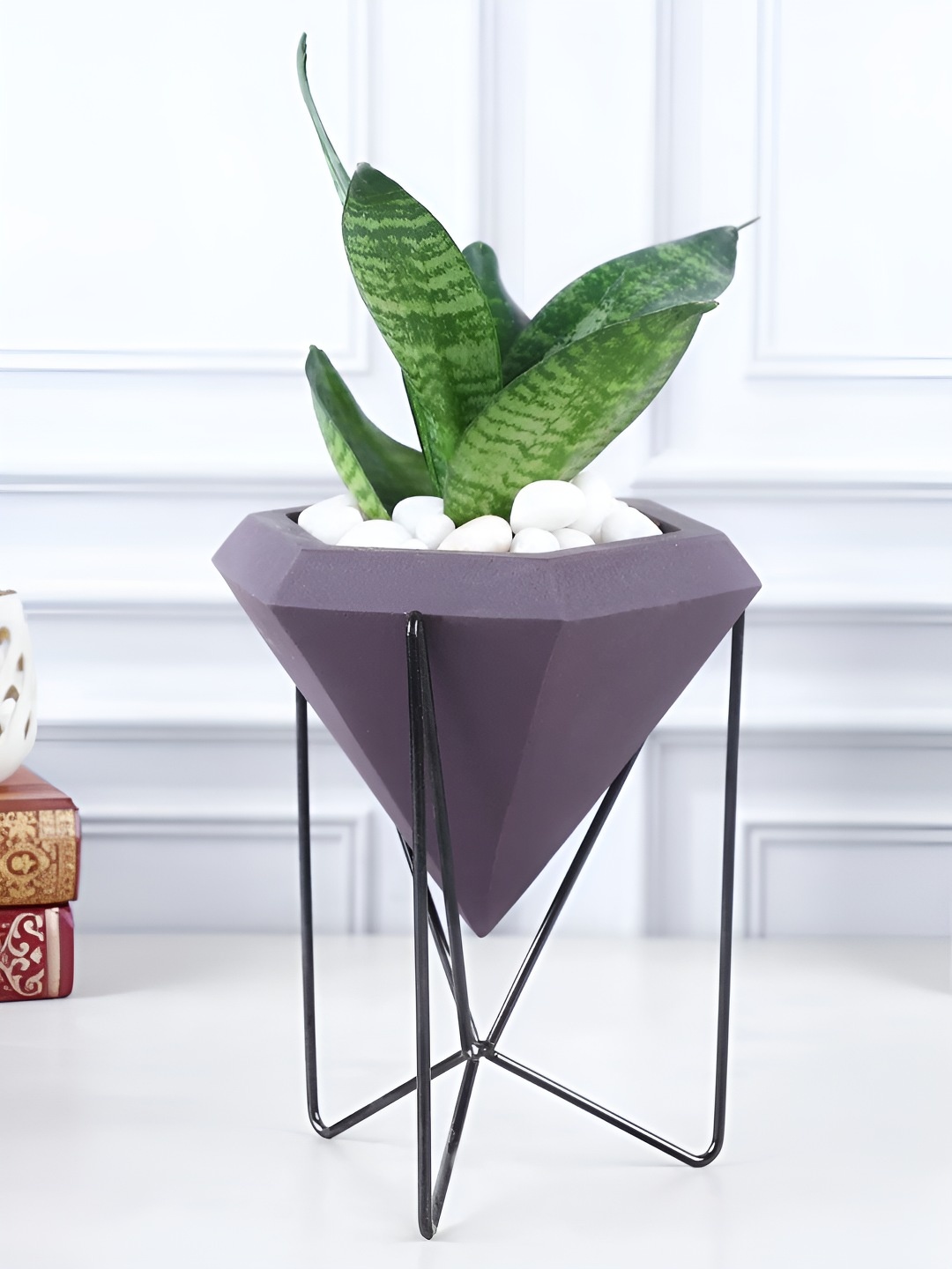 

fnp Green Dragon Snake Plant With Pot & Stand - 5 inches