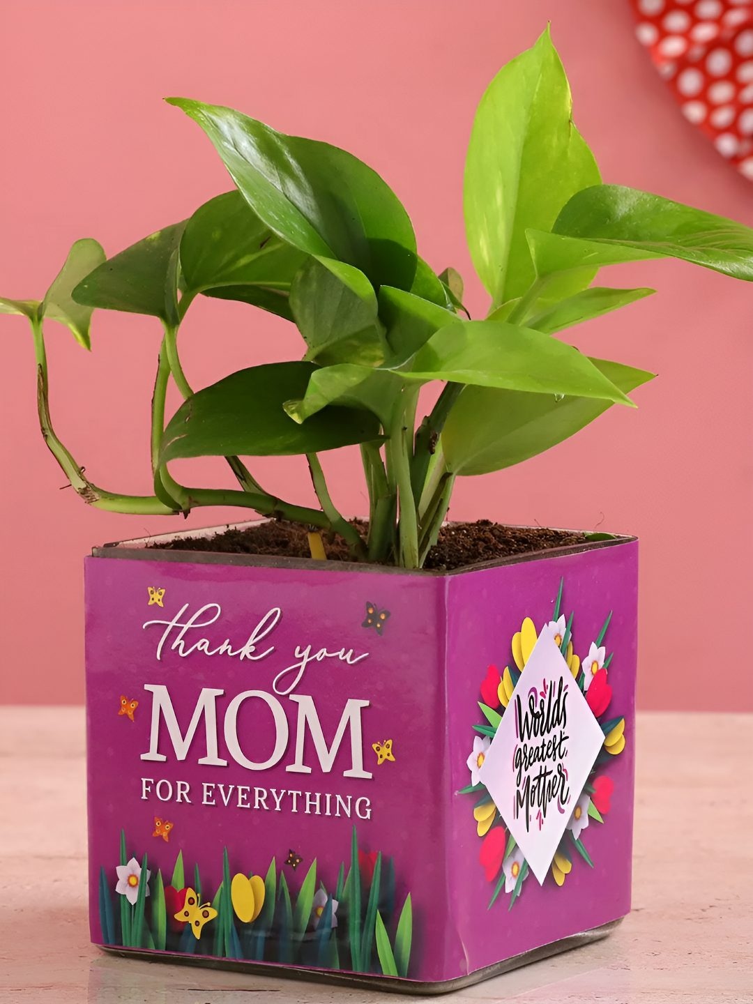 

fnp Green Money Plant In Thank You Mom Square Glass Vase