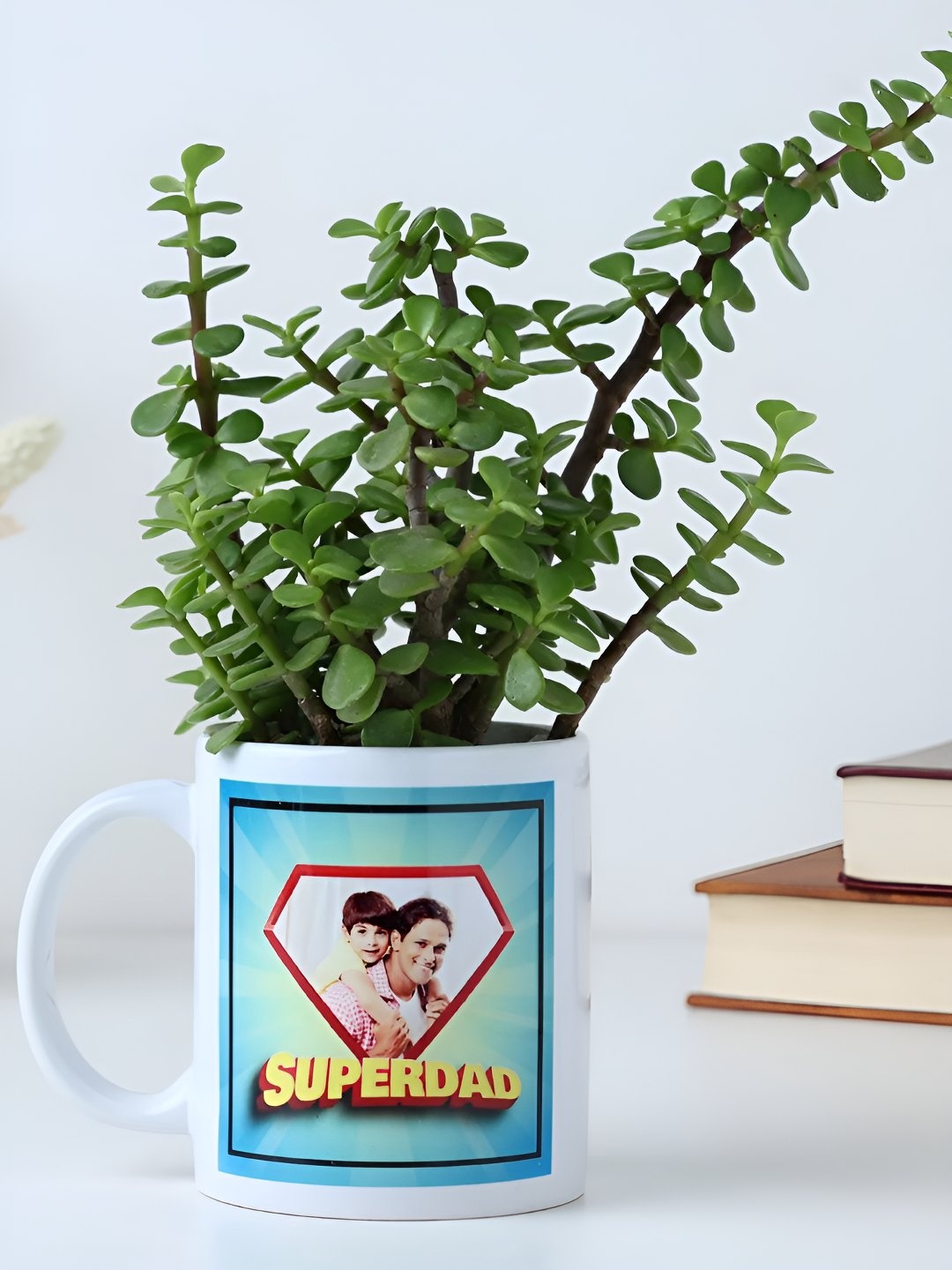 

fnp White & Green Indoor Jade Plant with Mug- 5 inch