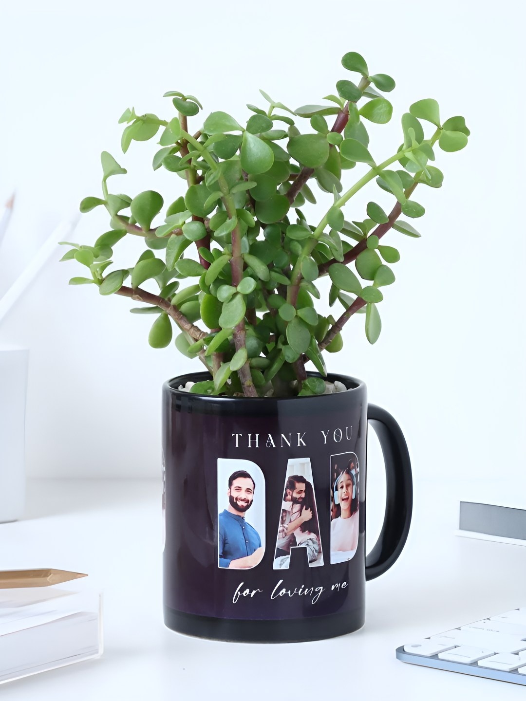 

fnp Green & Navy Blue bJade Plant With Ceramic Mug Pot- 5 inch