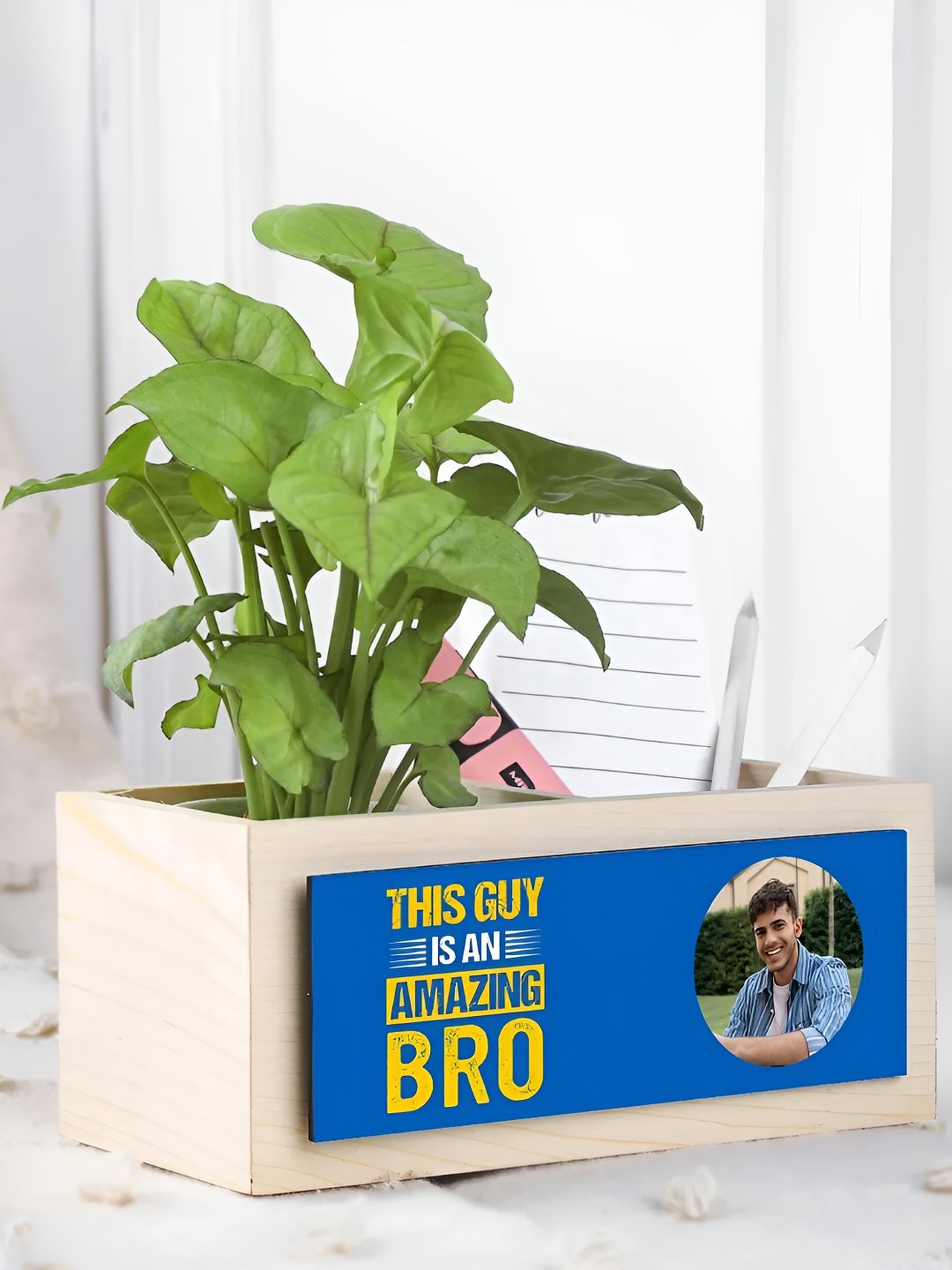 

fnp Green Syngonium Live Plants With Pot 5 inches