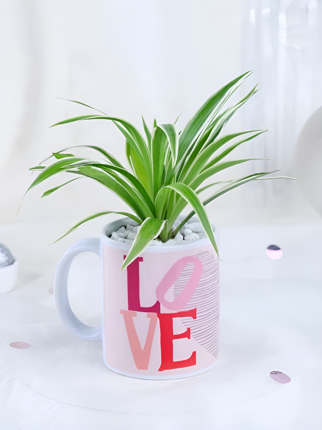 

fnp Green & White Indoor Plant With Pot