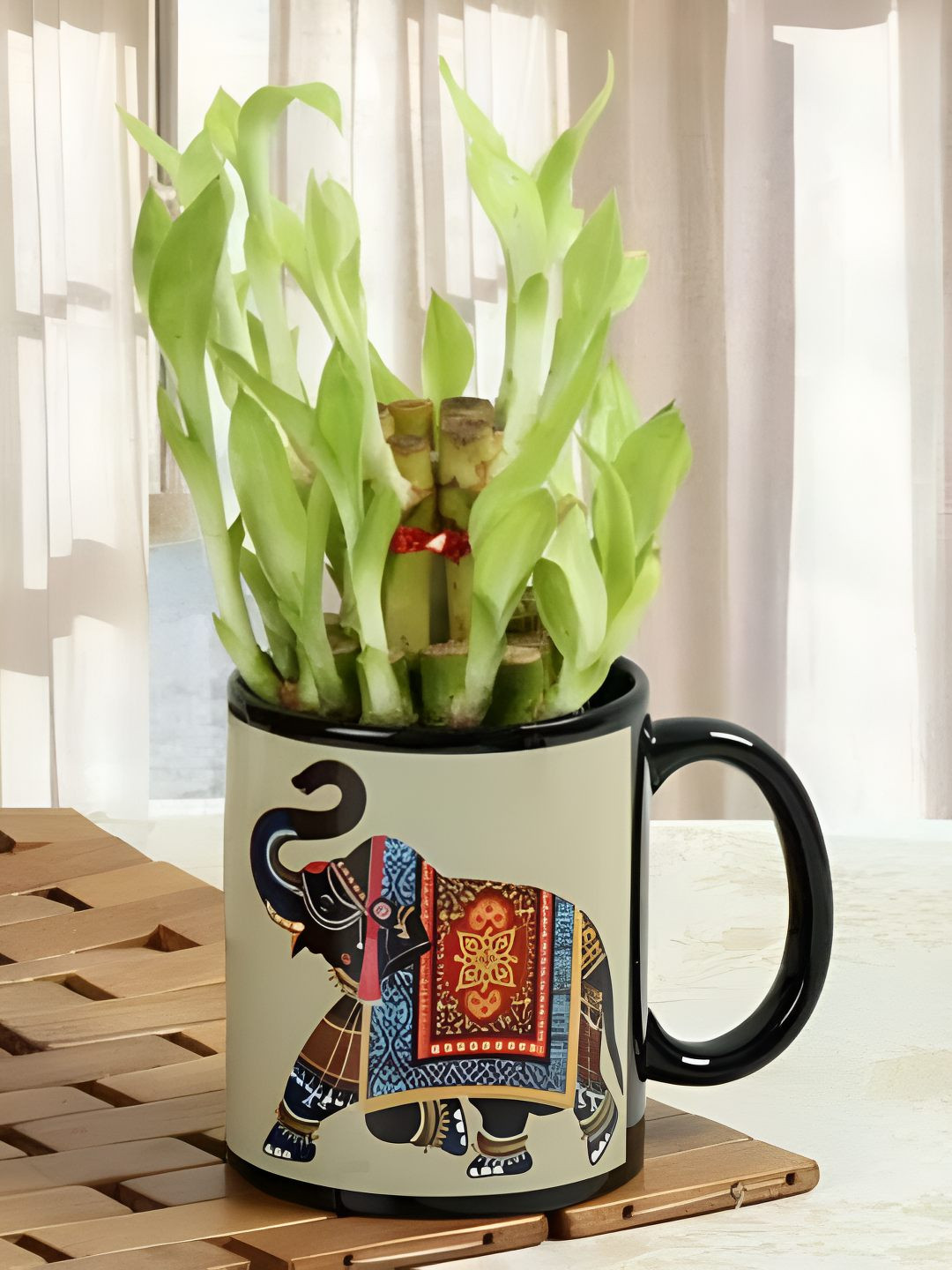 

fnp Green Bamboo Live Plants With Pot- 4 Inches