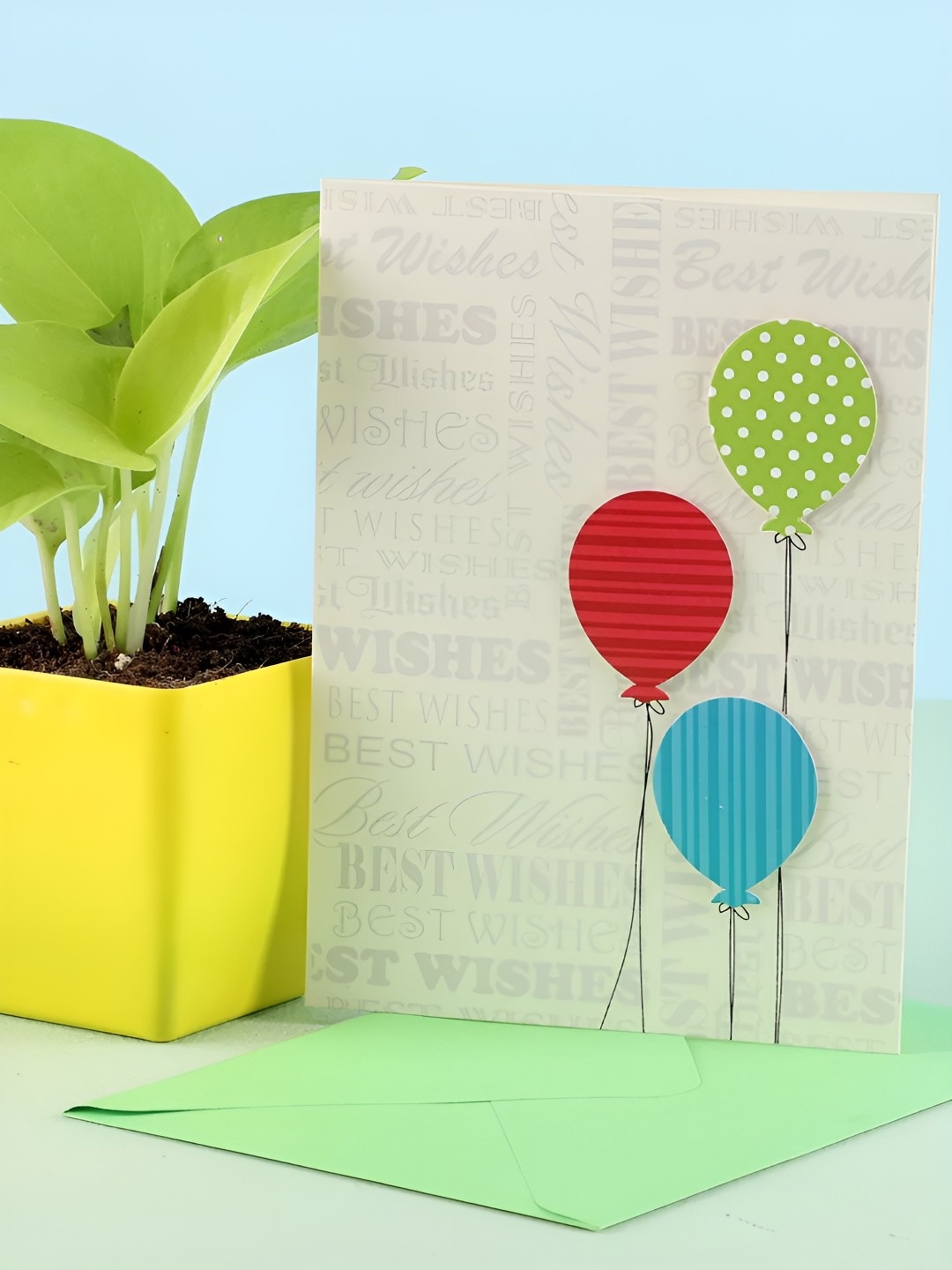 

fnp Green Money Plant With Pot Birthday Greetings- 7 inches