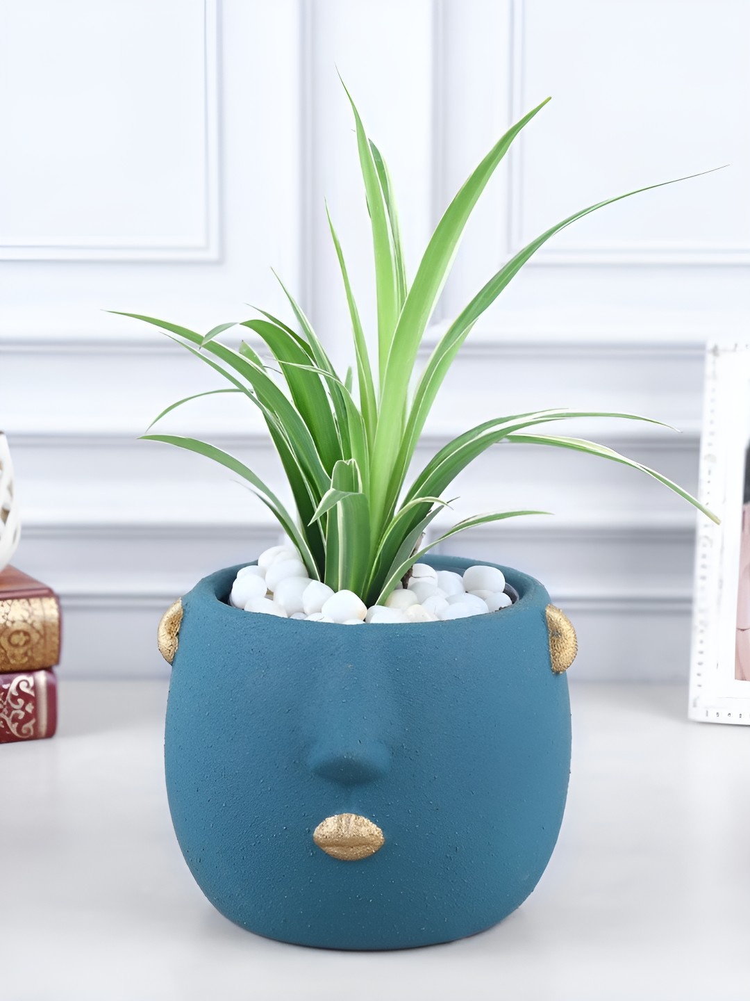 

fnp Green & Blue Indoor Spider Plant With Pot- 4 Inches