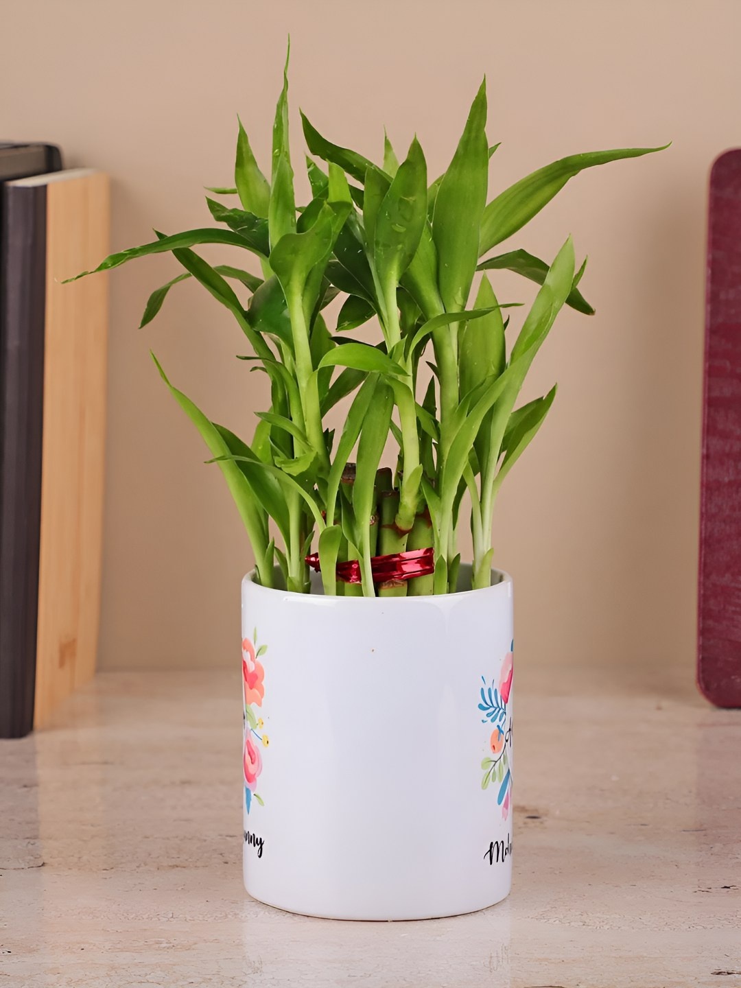 

fnp Green Indoor Bamboo Plant With Pot 5 inches